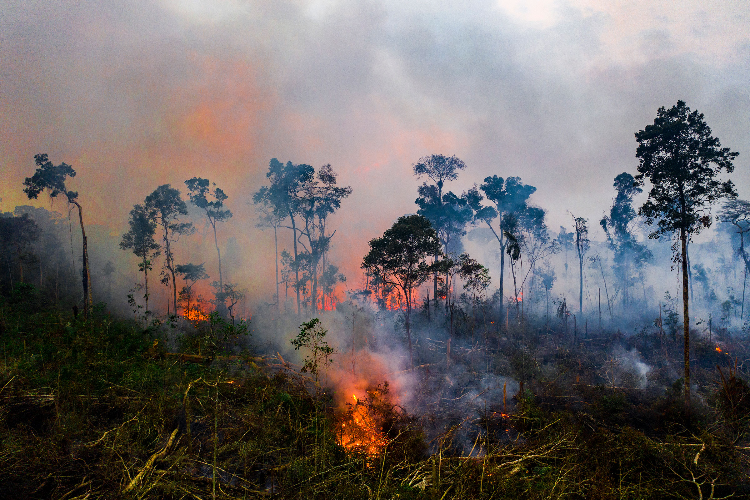 A fire near the Jacundá National Forest in Brazil’s Amazon in August (Sebastian Liste—NOOR for TIME)
