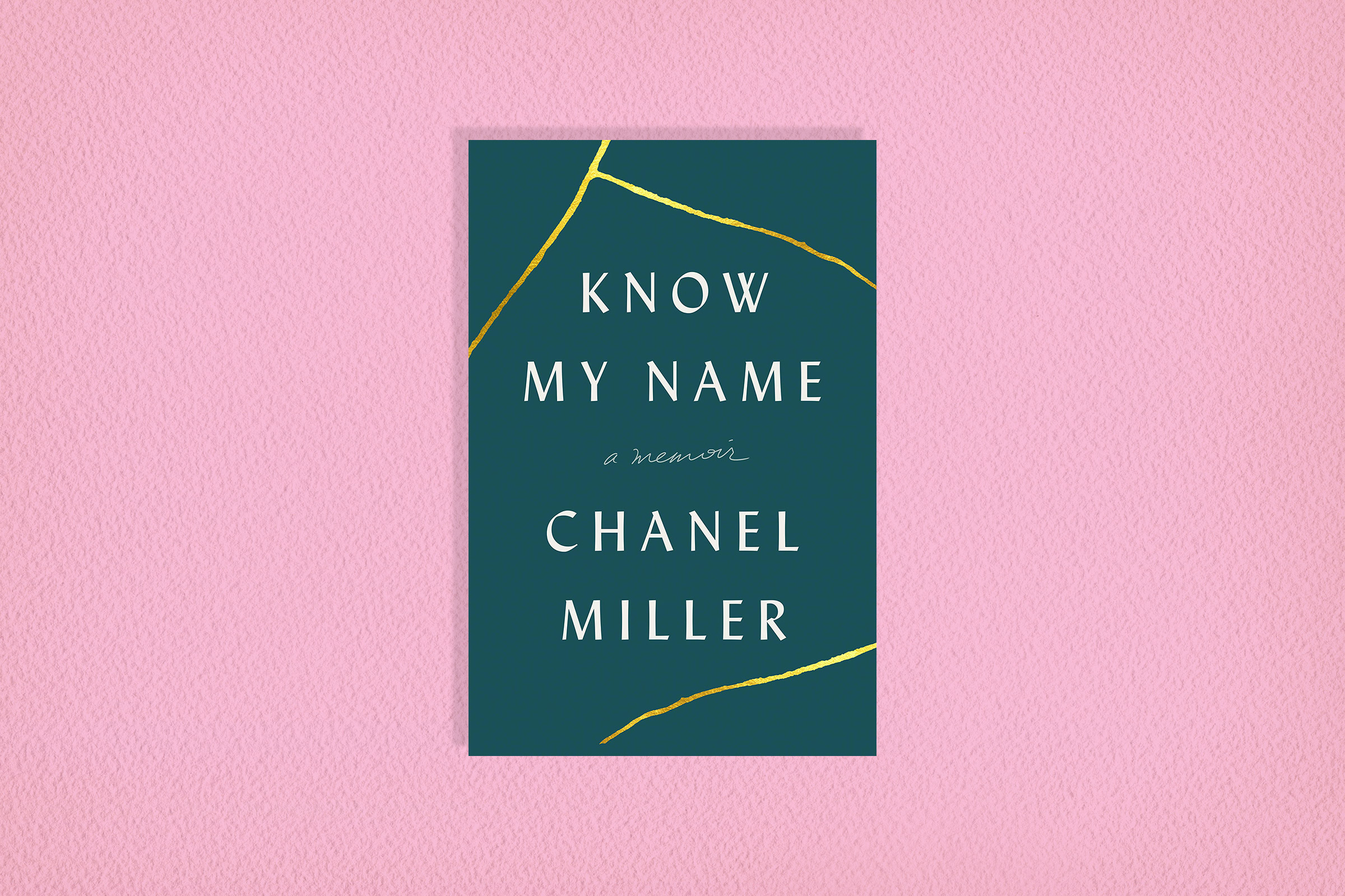 We Should All Know Her Name A Book Review on Chanel Millers Memoir   archive