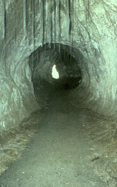 The Thurston (Nahuku) lava tube, shown here, is near the Kīlauea Volcano in Hawai‘i Volcanoes National Park. A Hawaii man was found dead Monday, Nov. 4, 2019 falling into a lava tube in his yard in Hilo. (United States Geological Survey)