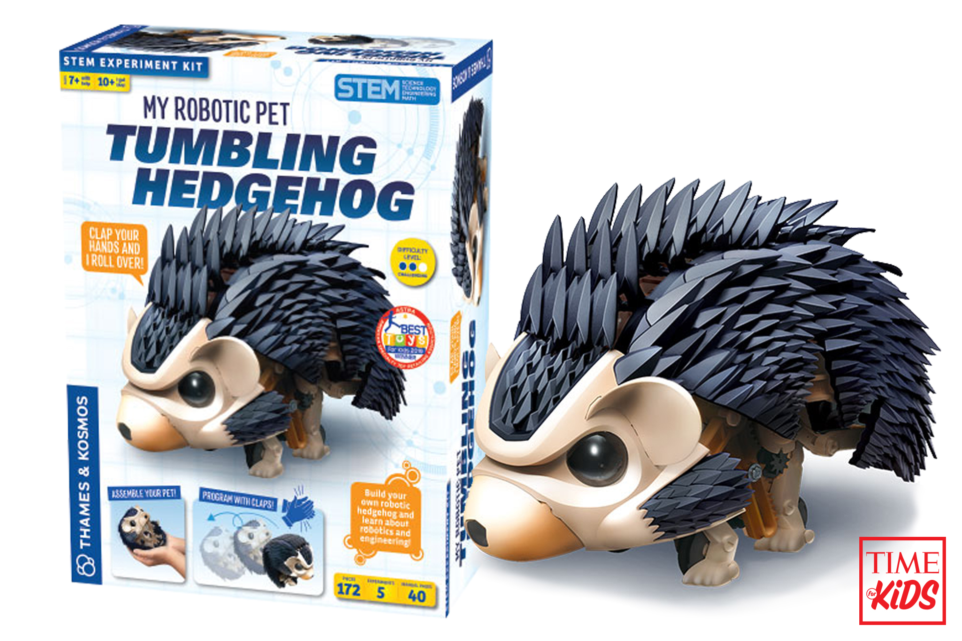 Picture of tumbling hedgehog for toy guide.