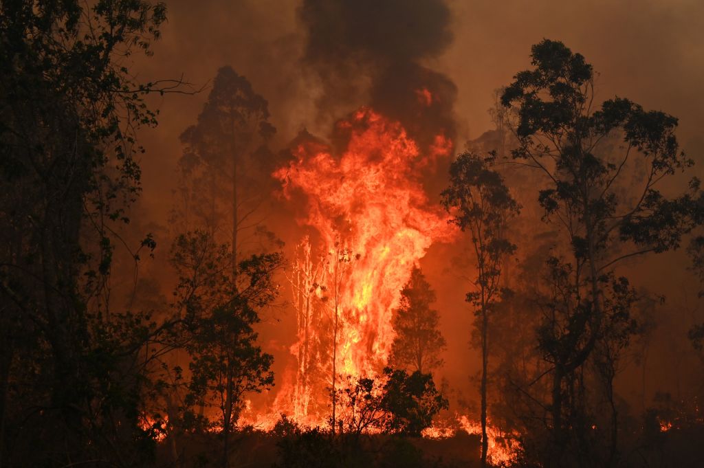 A fire rages in Bobin, 350km north of Sydney on Nov. 9, as firefighters try to contain dozens of out-of-control blazes that are raging in the state of New South Wales. (Peter Parks—AFP/Getty Images)