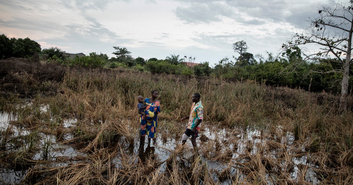 «Нет сети безопасности». Как изменение климата и беспрецедентное наводнение разрушают сообщества в Центральноафриканской Республике thumbnail