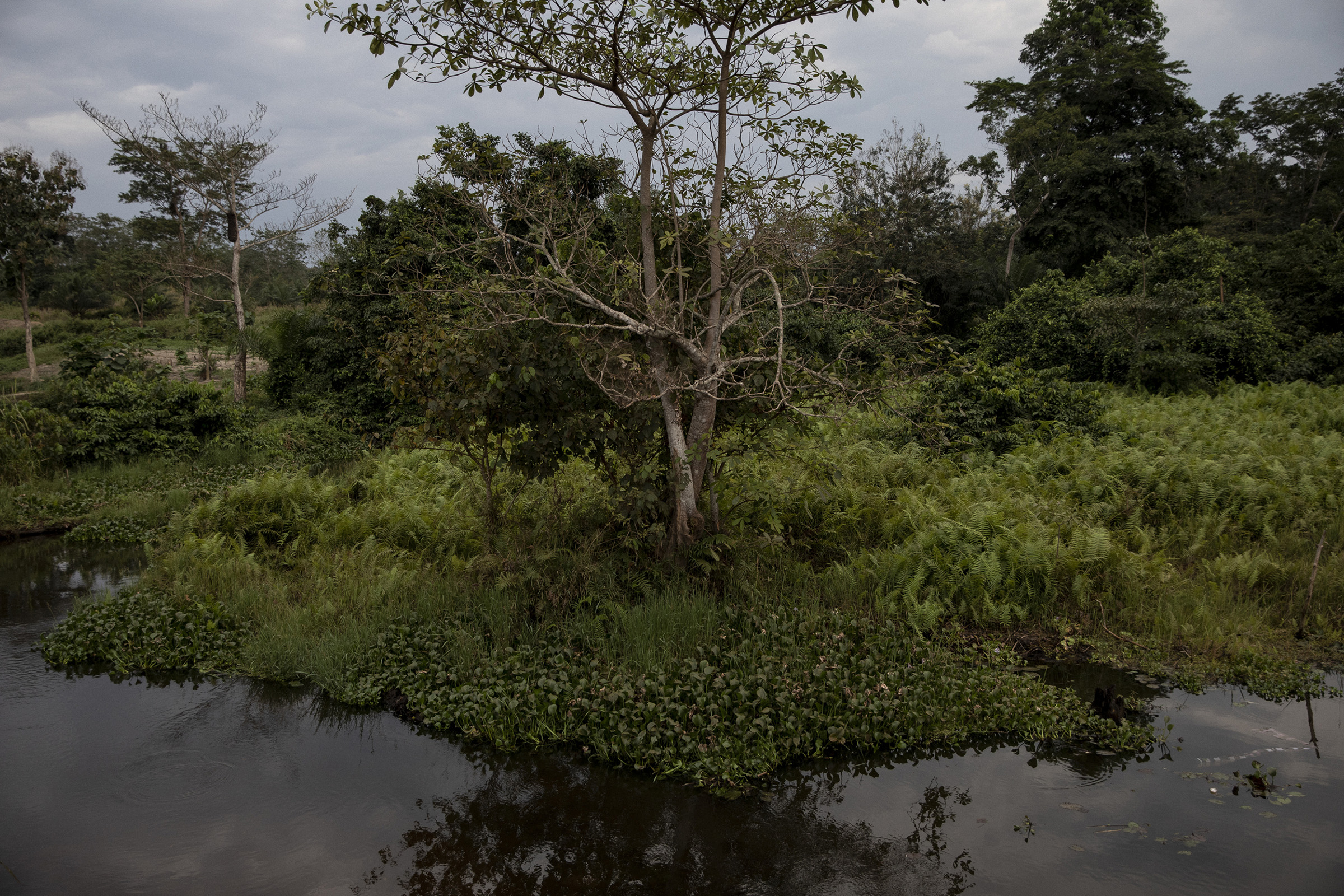 Bruno Yamkomopanza, a farmer in Bimbo near Bangui, lost his five hectares of sowing seeds to the floods, seen here on Nov. 24, 2019. (Adrienne Surprenant—Greenpeace)