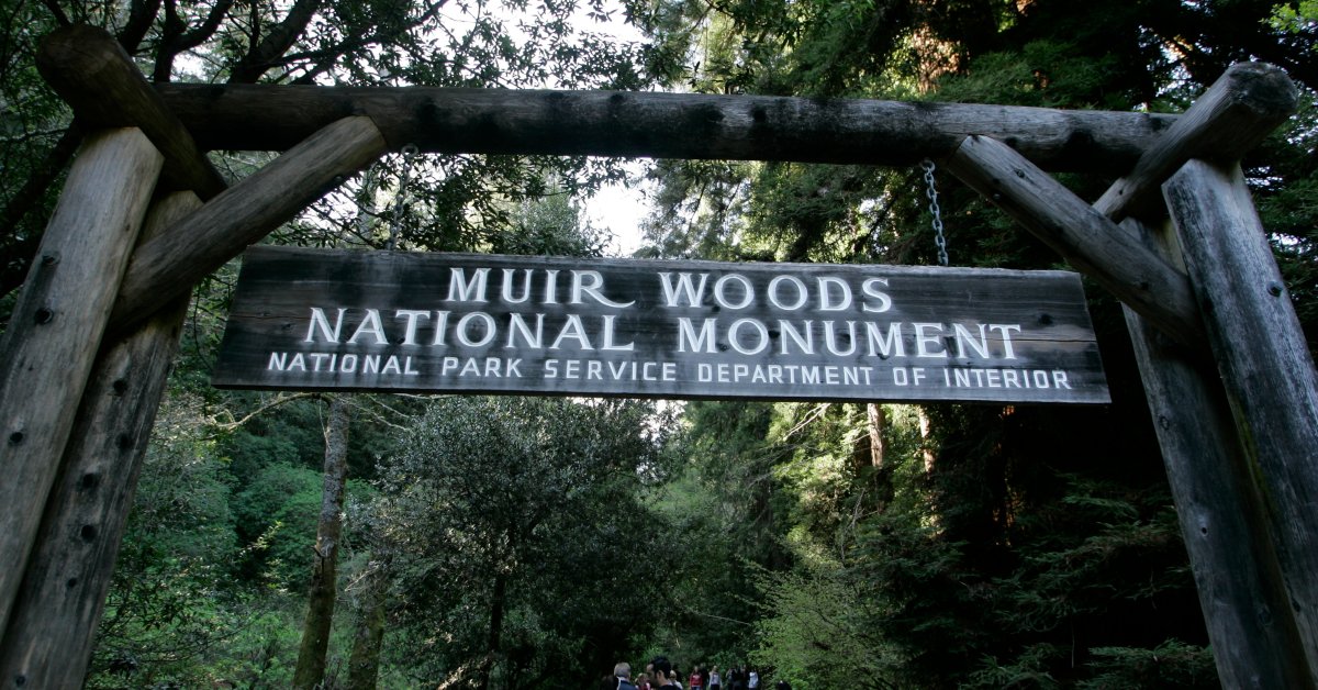 Redwood Tree Falls и убивает путешественника в парке Северной Калифорнии thumbnail