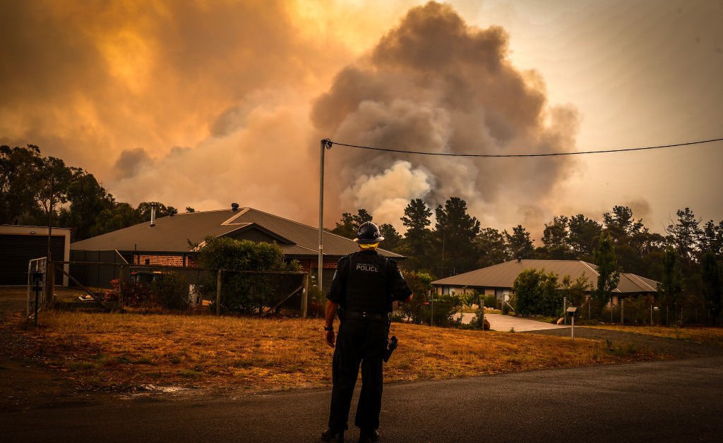 Лесные пожары выпускают более половины ежегодных выбросов углерода в Австралии thumbnail