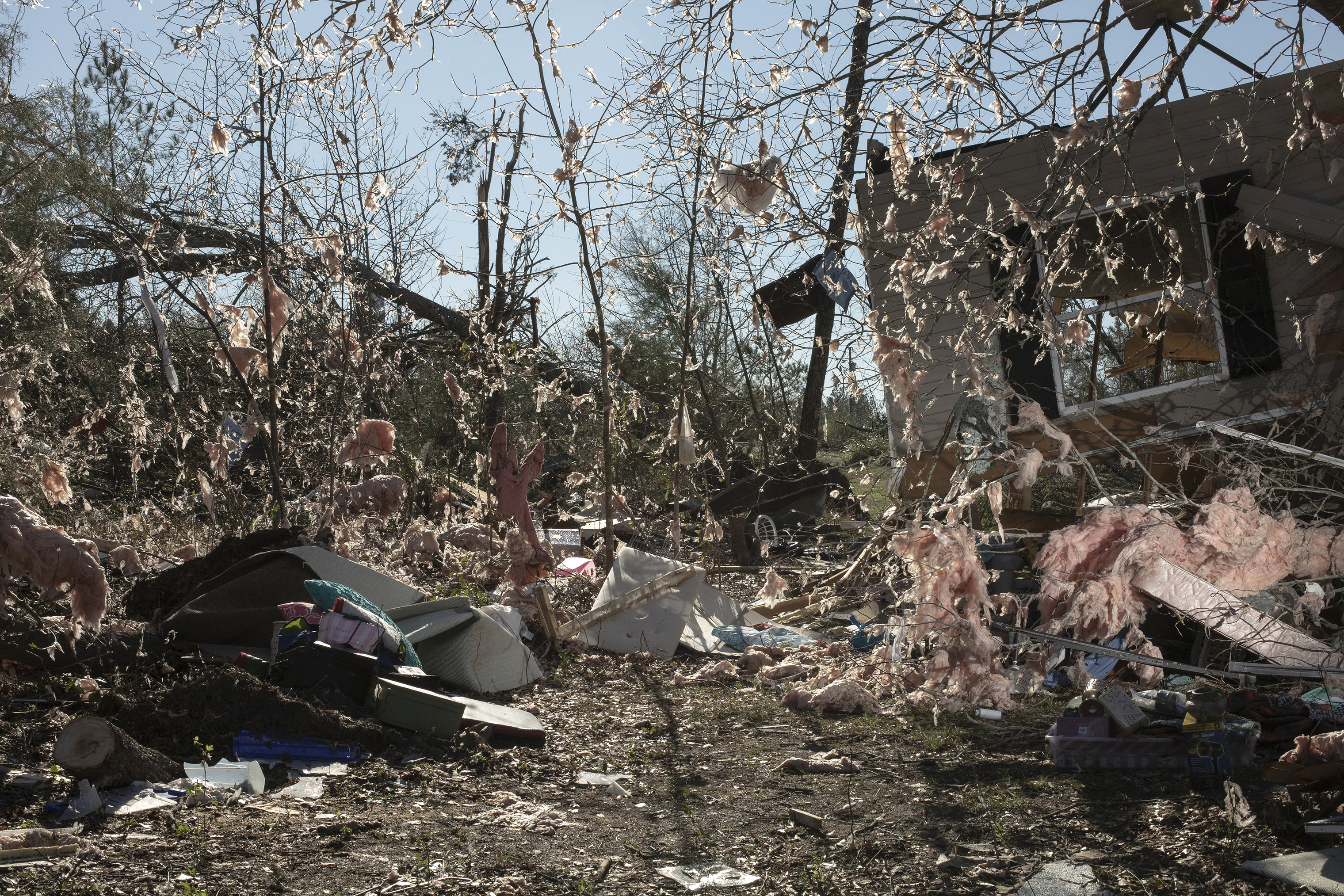 Insulation from a home was scattered in the trees after a tornado passed through the area, killing 23 people and destroying homes, in Beauregard, Ala., on March 4. (Bryan Anselm—Redux for TIME)