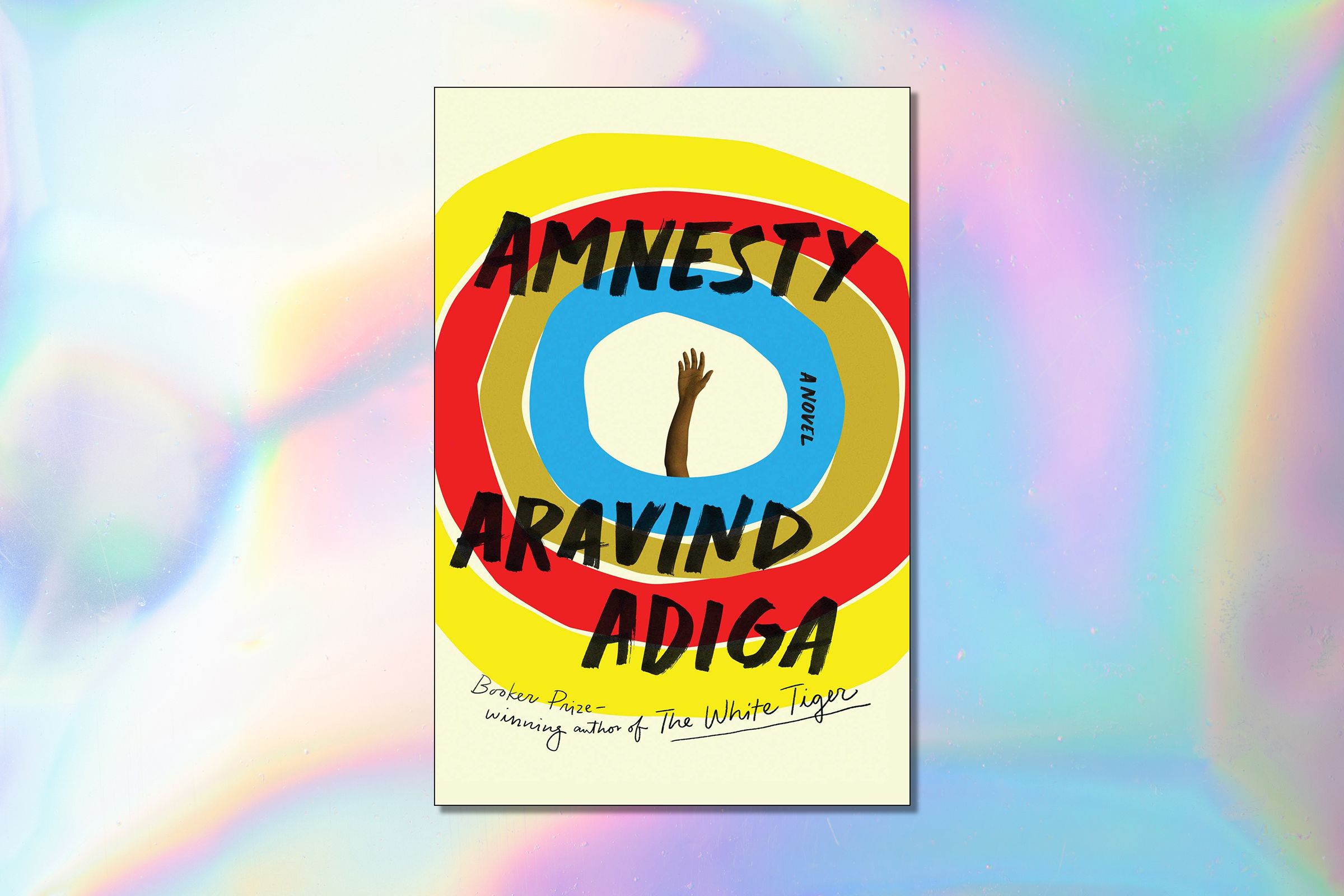 Aravind Adiga, Amnesty