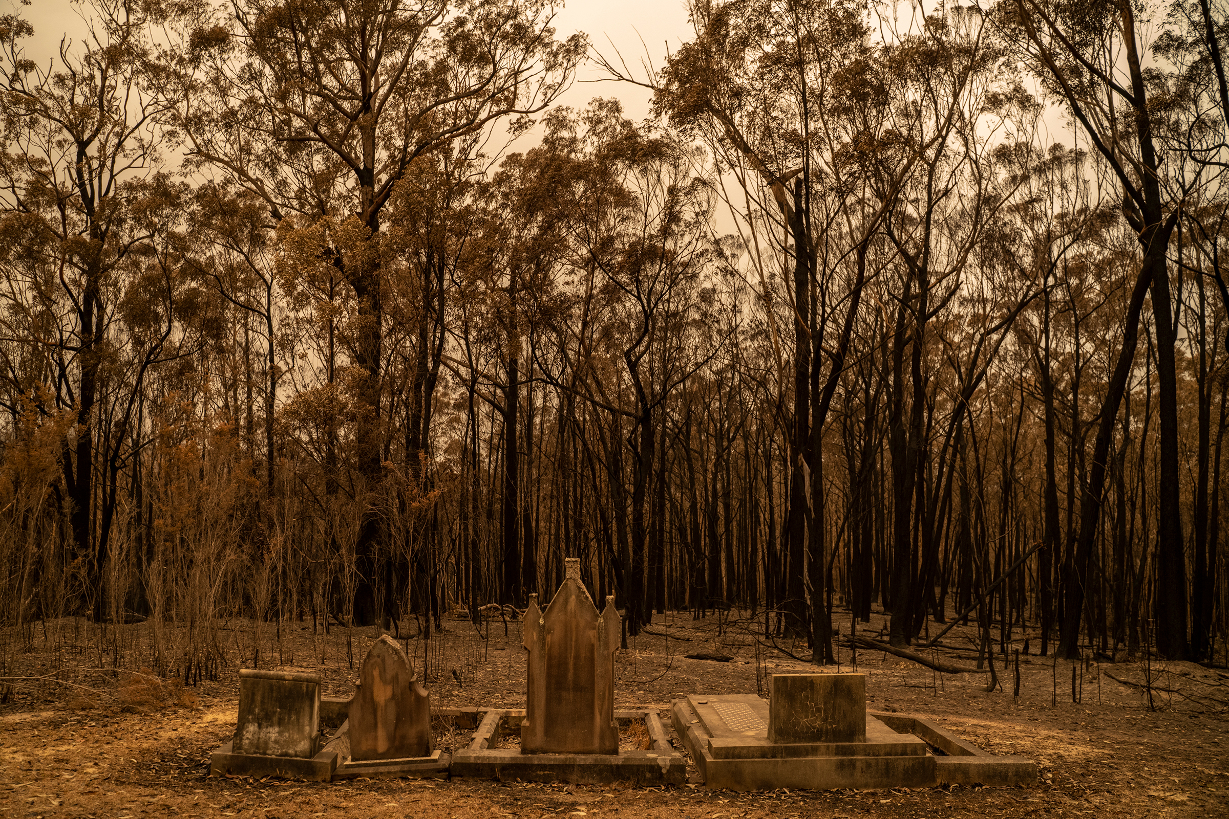 A cemetery recently hit by bushfires near Mogo, New South Wales, on Jan. 5.
