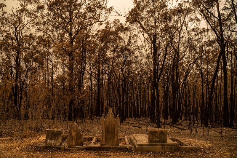 A cemetery recently hit by bushfires near Mogo, New South Wales, on Jan. 5. Adam Ferguson for TIME