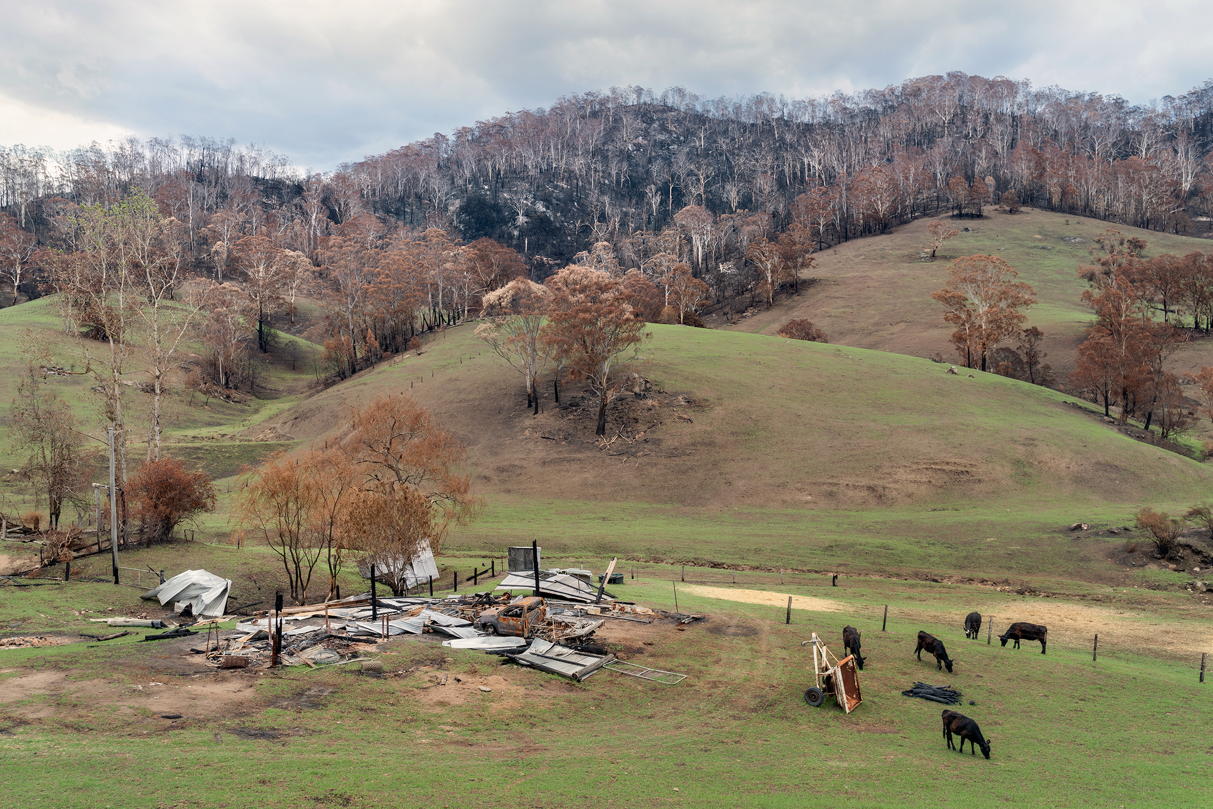 The remains of the original homestead on Hawks Nest Farm near Cobargo, New South Wales, on Jan. 21. Dozens of cattle were killed by exposure to the bushfire that devastated Cobargo on New Year's Eve. (Adam Ferguson for TIME)