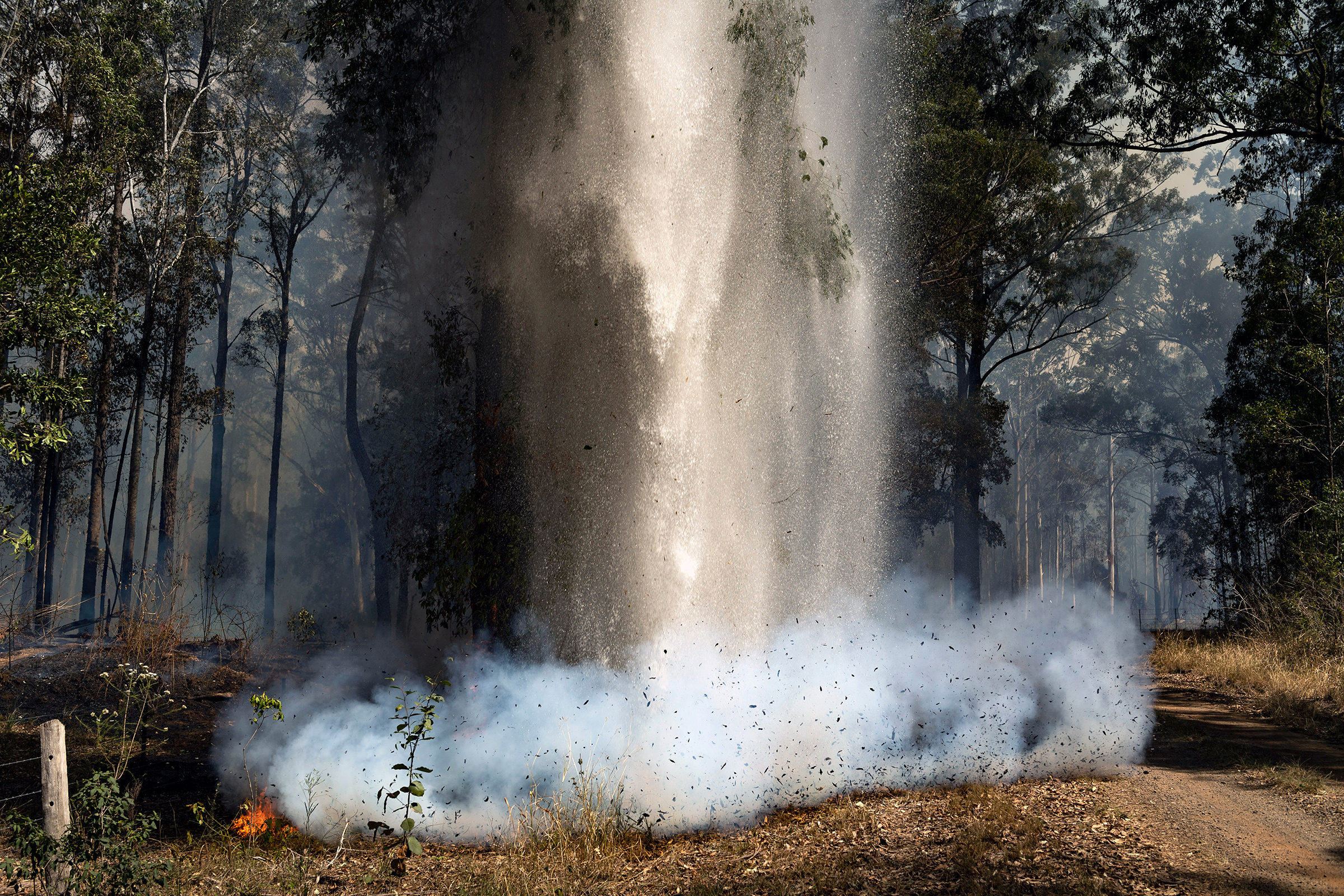 Water is dumped from a helicopter on a small fire in Hillville, New South Wales, on Nov. 12, 2019. (Matthew Abbott—The New York Times/Redux)