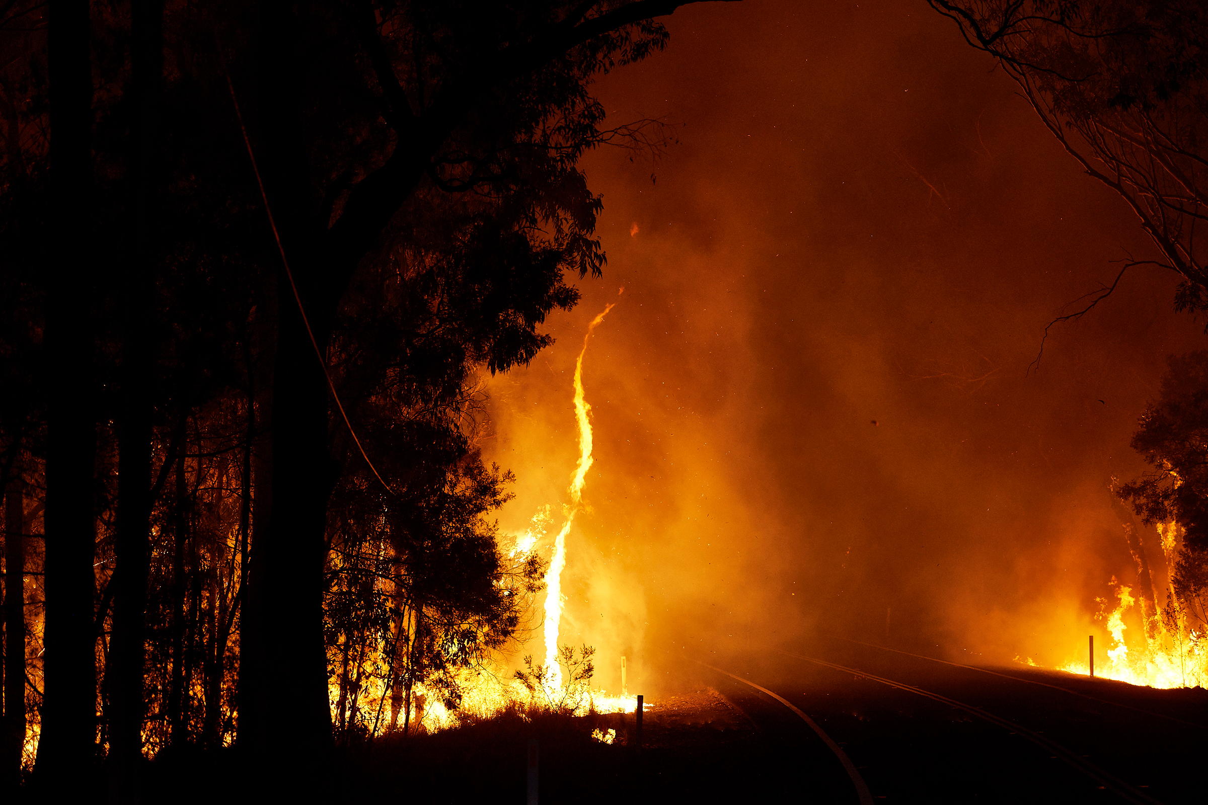 A bushfire along Putty Road in Colo Heights, New South Wales, on Nov. 15, 2019. (Brett Hemmings—Getty Images)