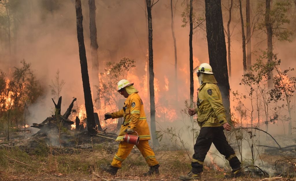 Пожары в Австралии сожгли территорию размером с Вермонт и Нью-Гемпшир thumbnail