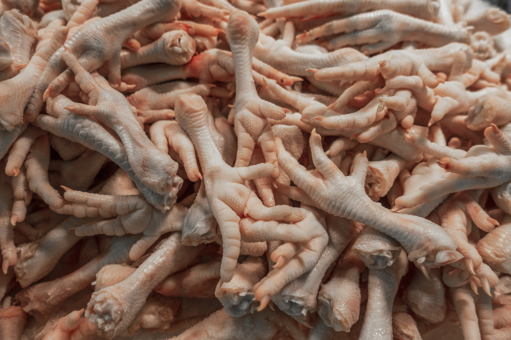 Chicken feet for sale at a market in Shanghai, China on Feb. 11, 2019. (ZhengXin/Getty Images)