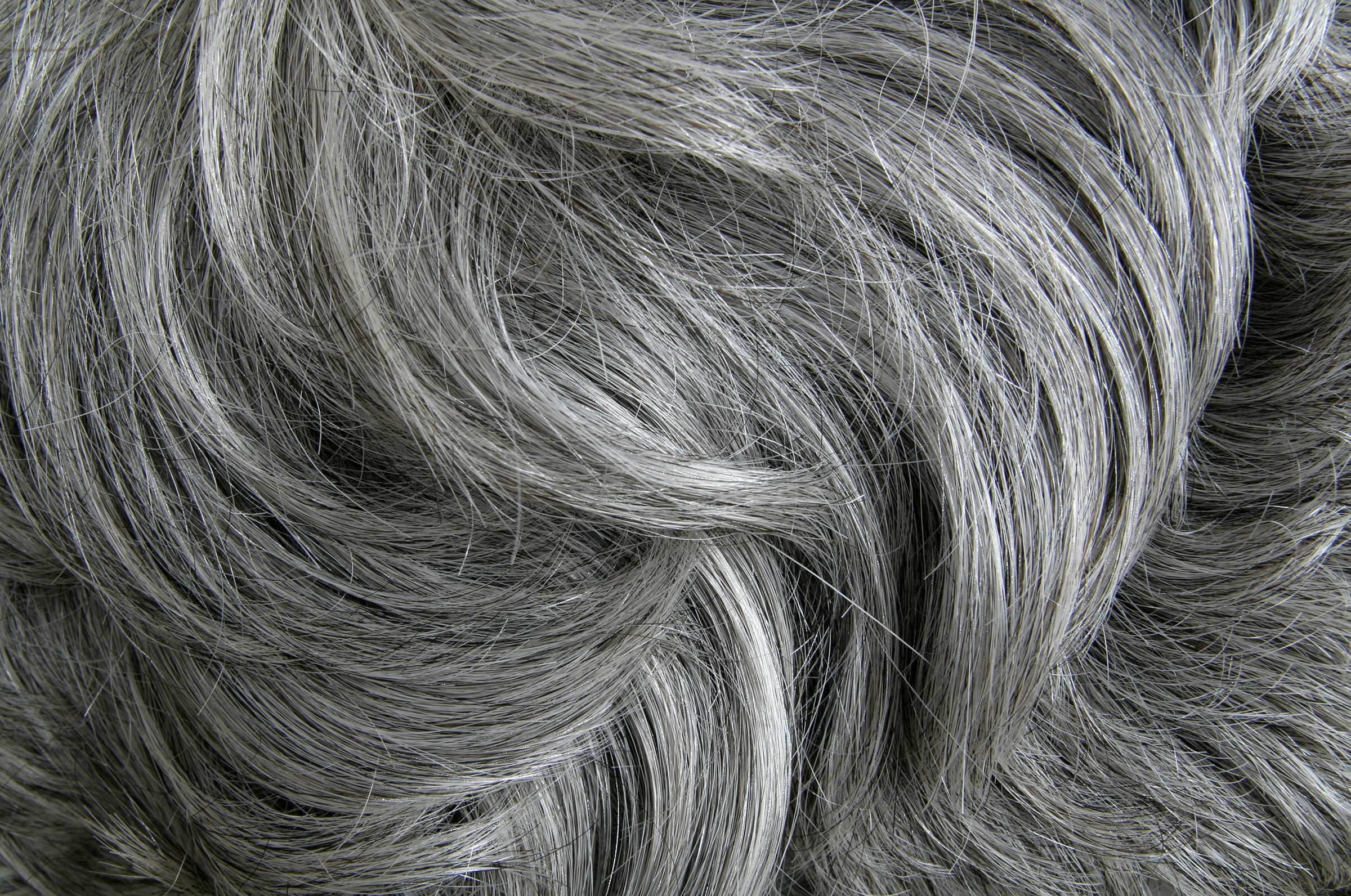 Scientists Confirm That Stress Can Indeed Turn Hair Grey | TIME