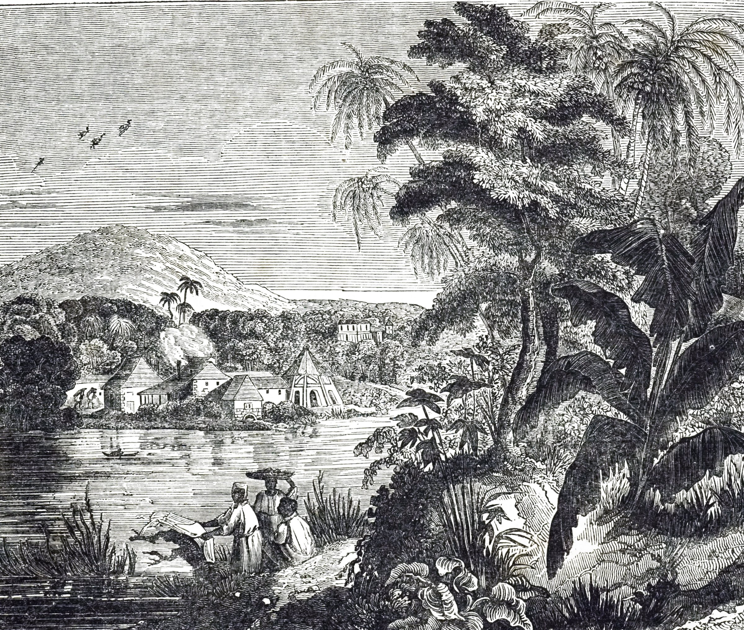 An engraving depicting a Jamaican sugarcane plantation during the sugar boom. African slaves harvested the sugar cane for their British owners. Dated 19th century