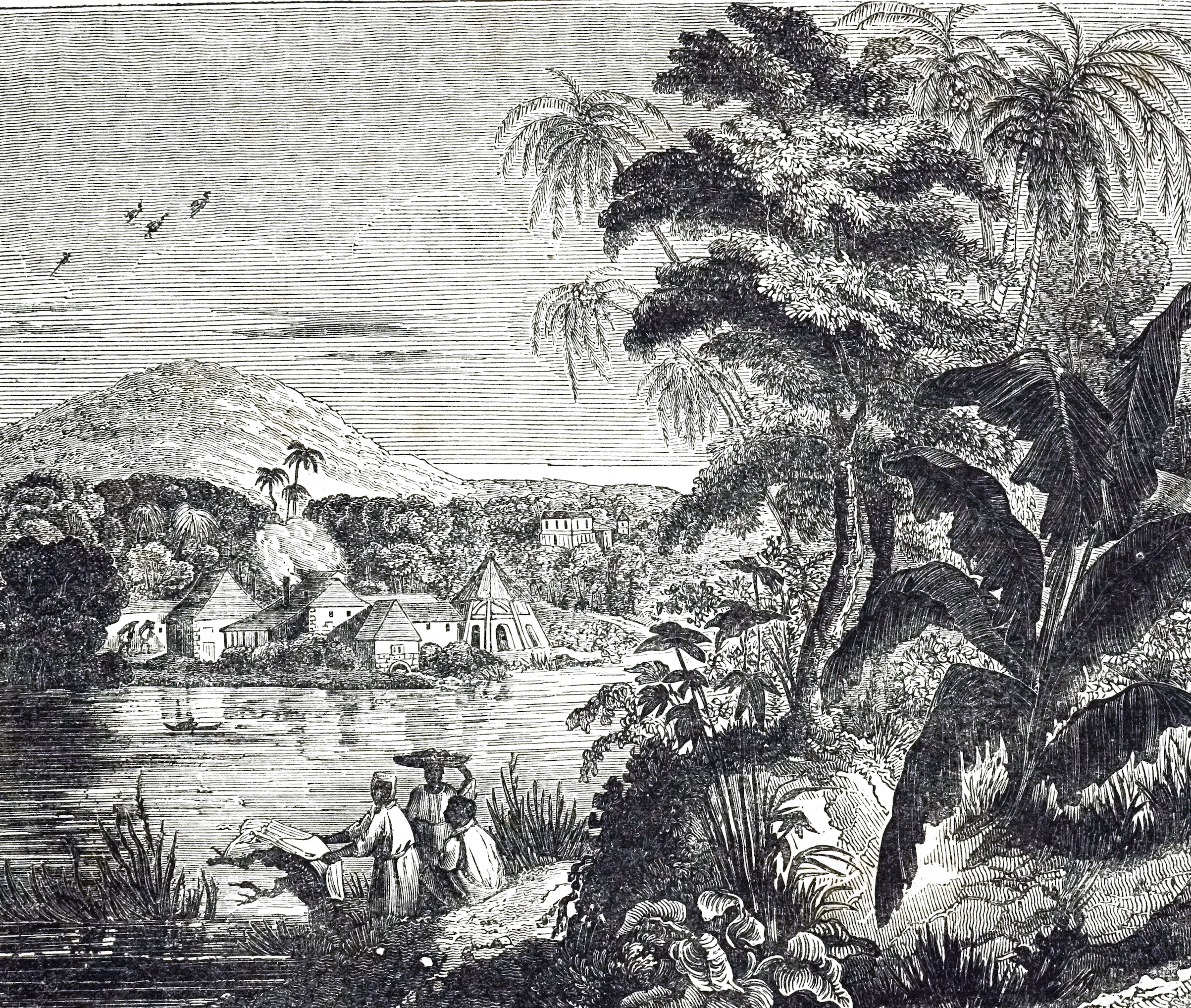 An engraving depicting a Jamaican sugarcane plantation during the sugar boom. African slaves harvested the sugar cane for their British owners. Dated 19th century. (Universal Images Group/Getty)