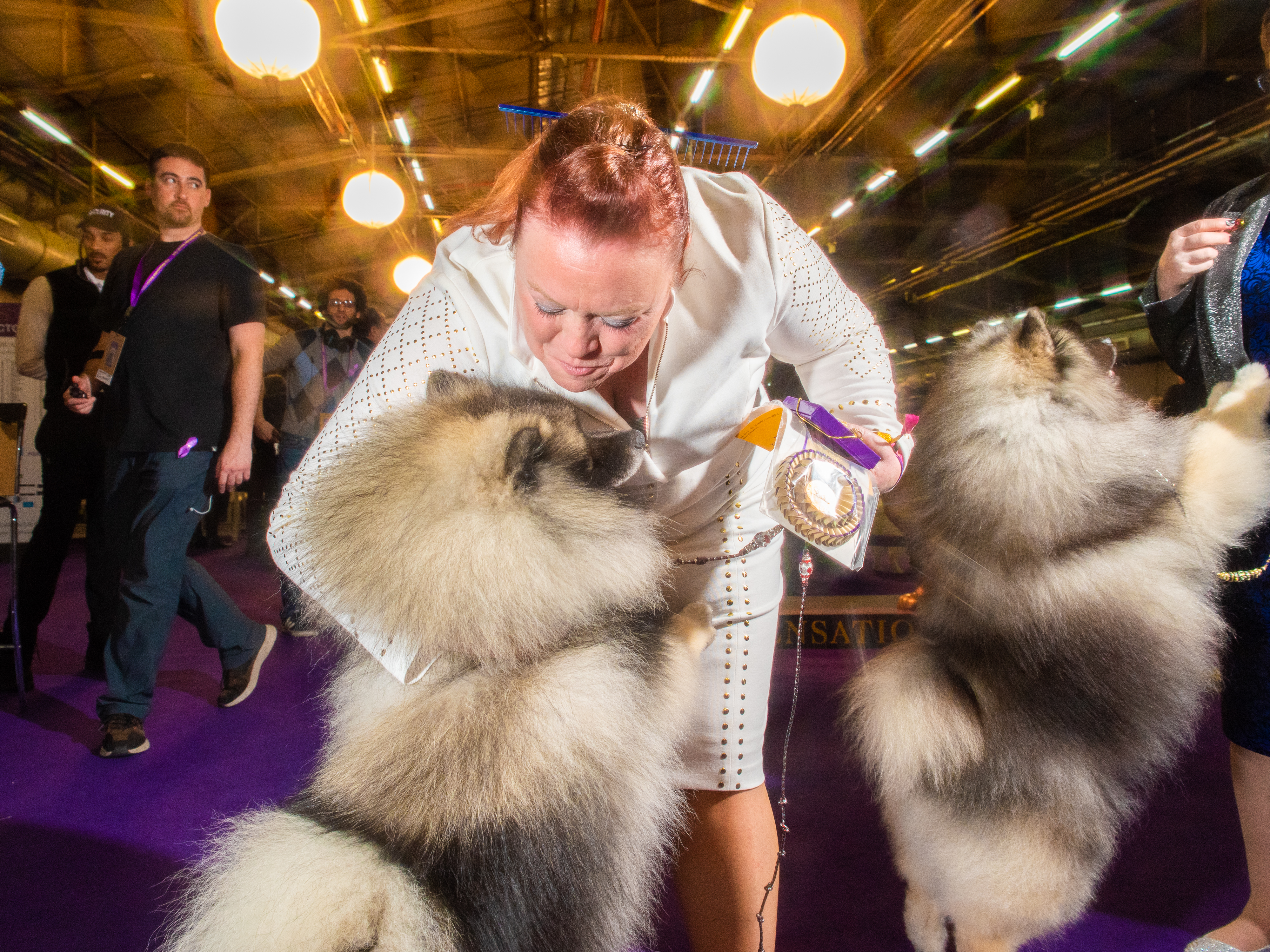 A Keeshond and their handler share a moment at Pier 94 (Evan Angelastro for TIME)