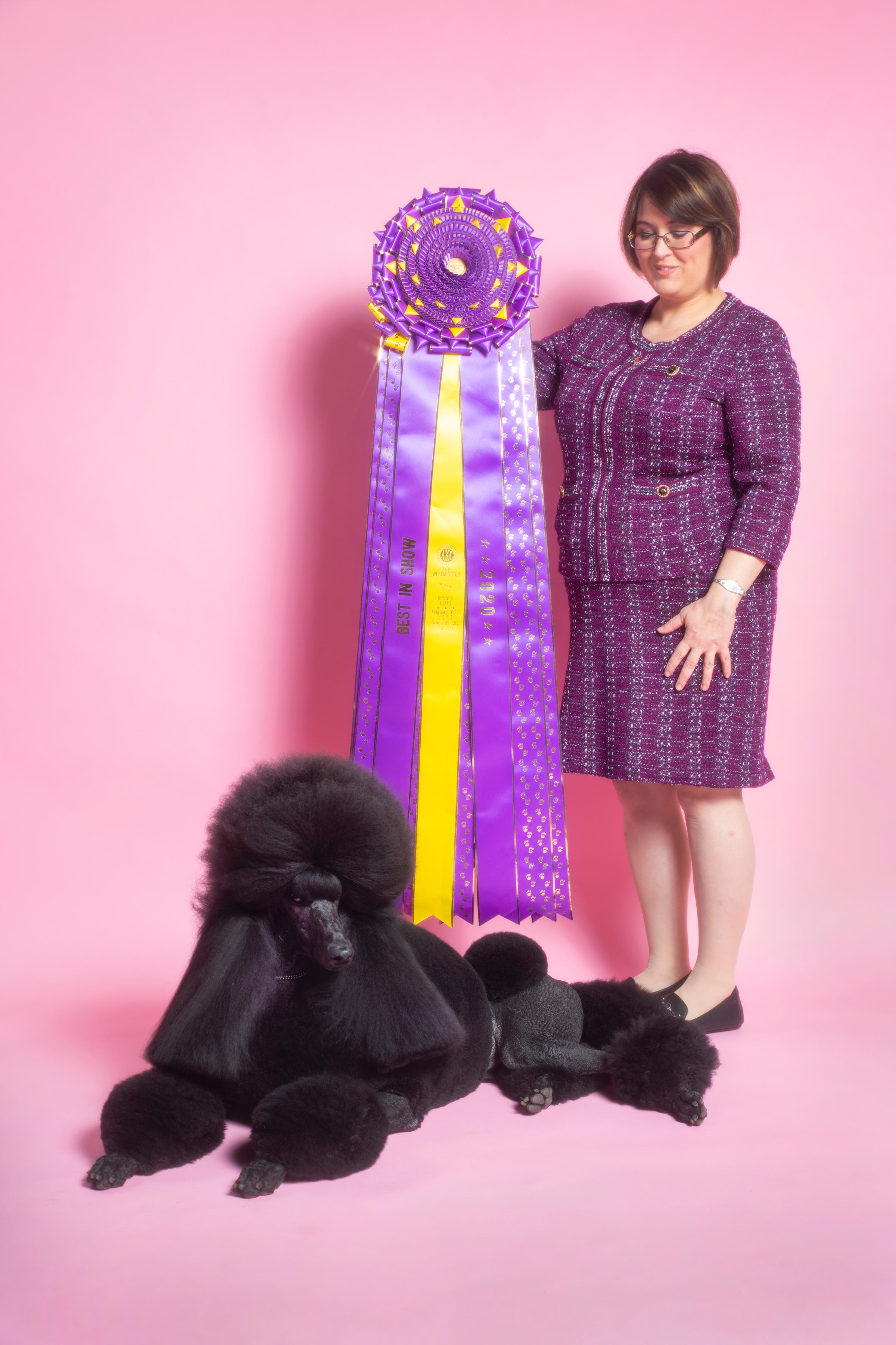 Siba the Standard Poodle poses at the TIME studio on Feb. 12. She won the Westminster Dog Show the day prior.