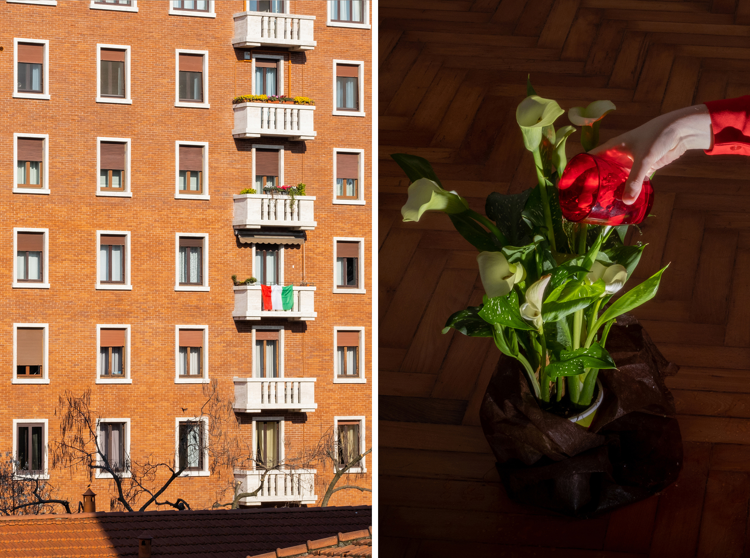 Left: 3:50 P.M. View from the balcony; Right: 3:40 P.M. Taking care of the plant (Lucia Buricelli for TIME)