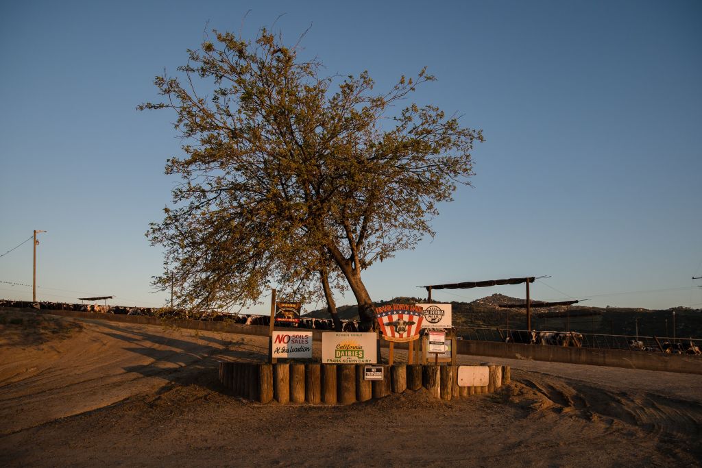 The entrance to Frank and Stacy Konyn's farm in Escondido, Calif. The Konyn's income has dropped 40 percent since the Coronavirus pandemic. (Ariana Drehsler/AFP—Getty Images)