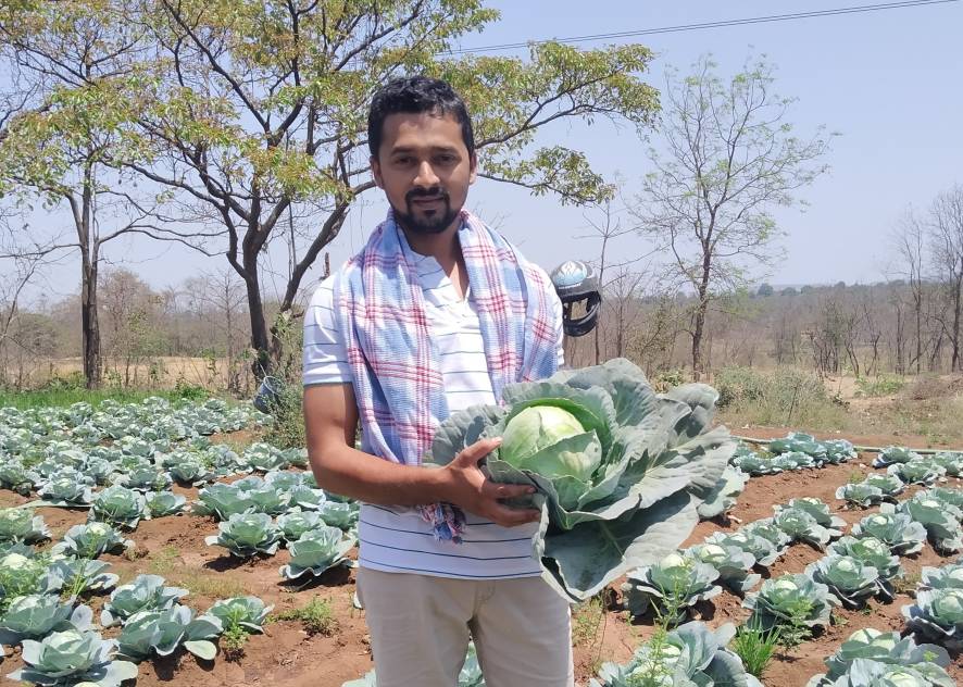 Jitendra Bangar and his cabbages in Bhiwandi, India (Photo courtesy of Nishi Kant Dixit and Rajnikant Prasad)