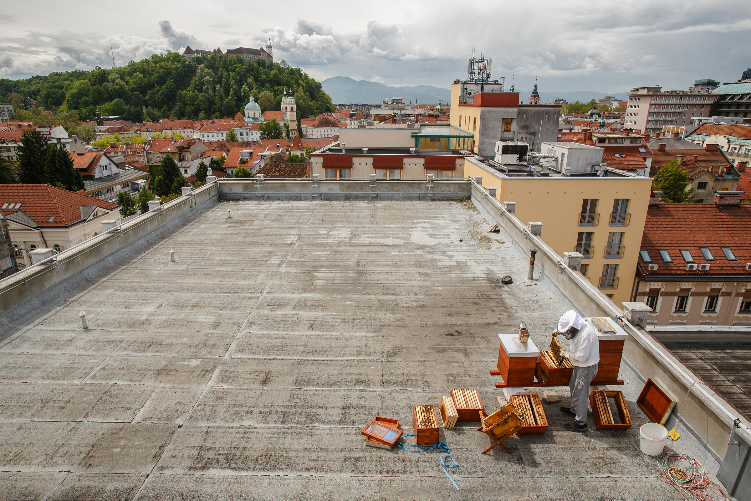 An urban beekeeper tends to apiaries on a Ljubljana rooftop. One in every 200 Slovenes keeps bees. (Luka Dakskobler)
