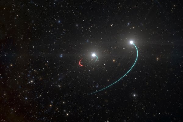 This illustration provided by the European Southern Observatory in shows the orbits of the objects in the HR 6819 triple system. The group is made up of an inner binary with one star, orbit in blue, and a newly discovered black hole, orbit in red, as well as a third star in a wider orbit, blue.