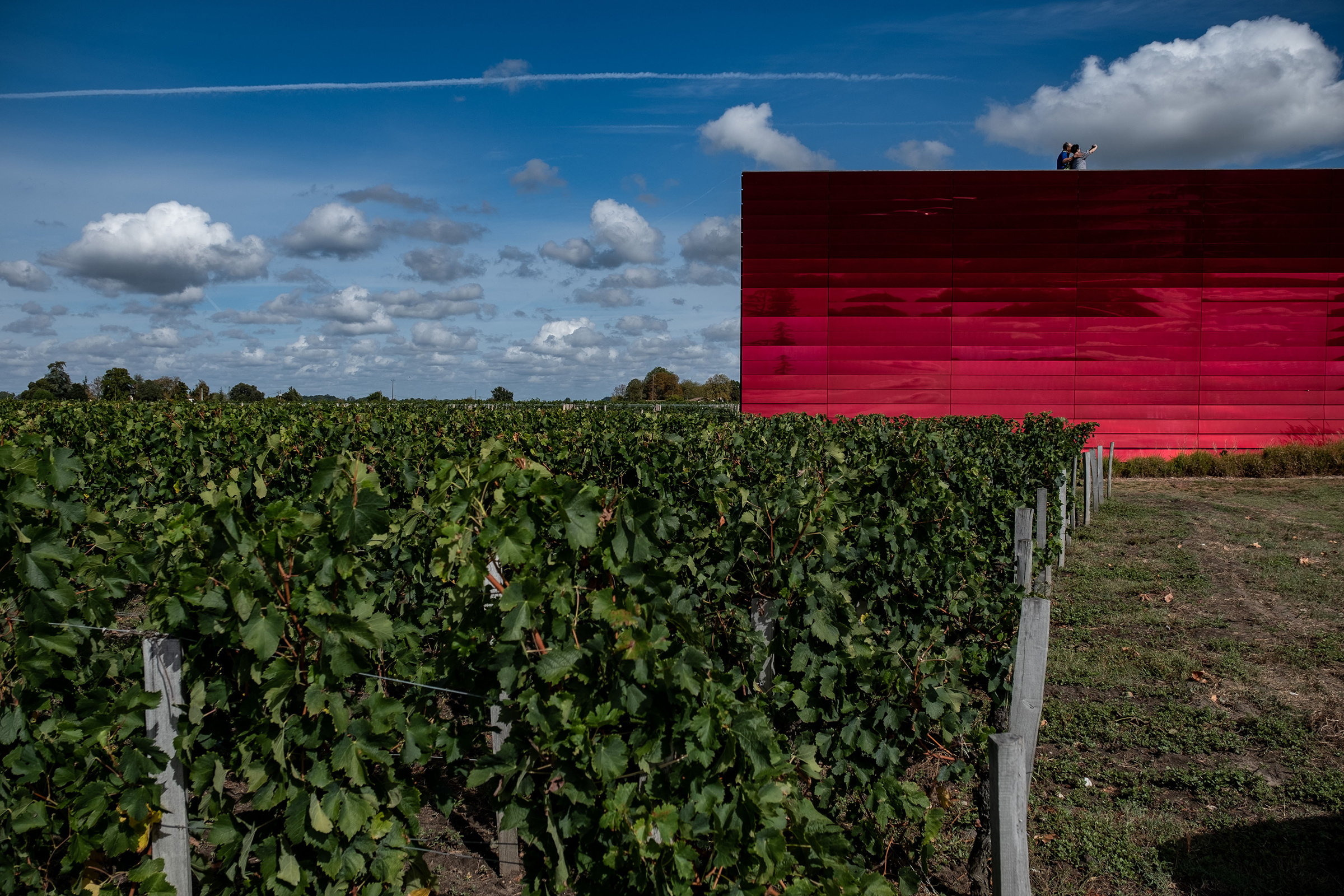 Visitors take a 'selfie' photograph on the roof garden of the Terasse Rouge winery and restaurant beside the vineyards at Chateau La Dominique in Pomerol, France, on Sept. 23, 2019 (Balint Porneczi—Bloomberg/Getty Images)