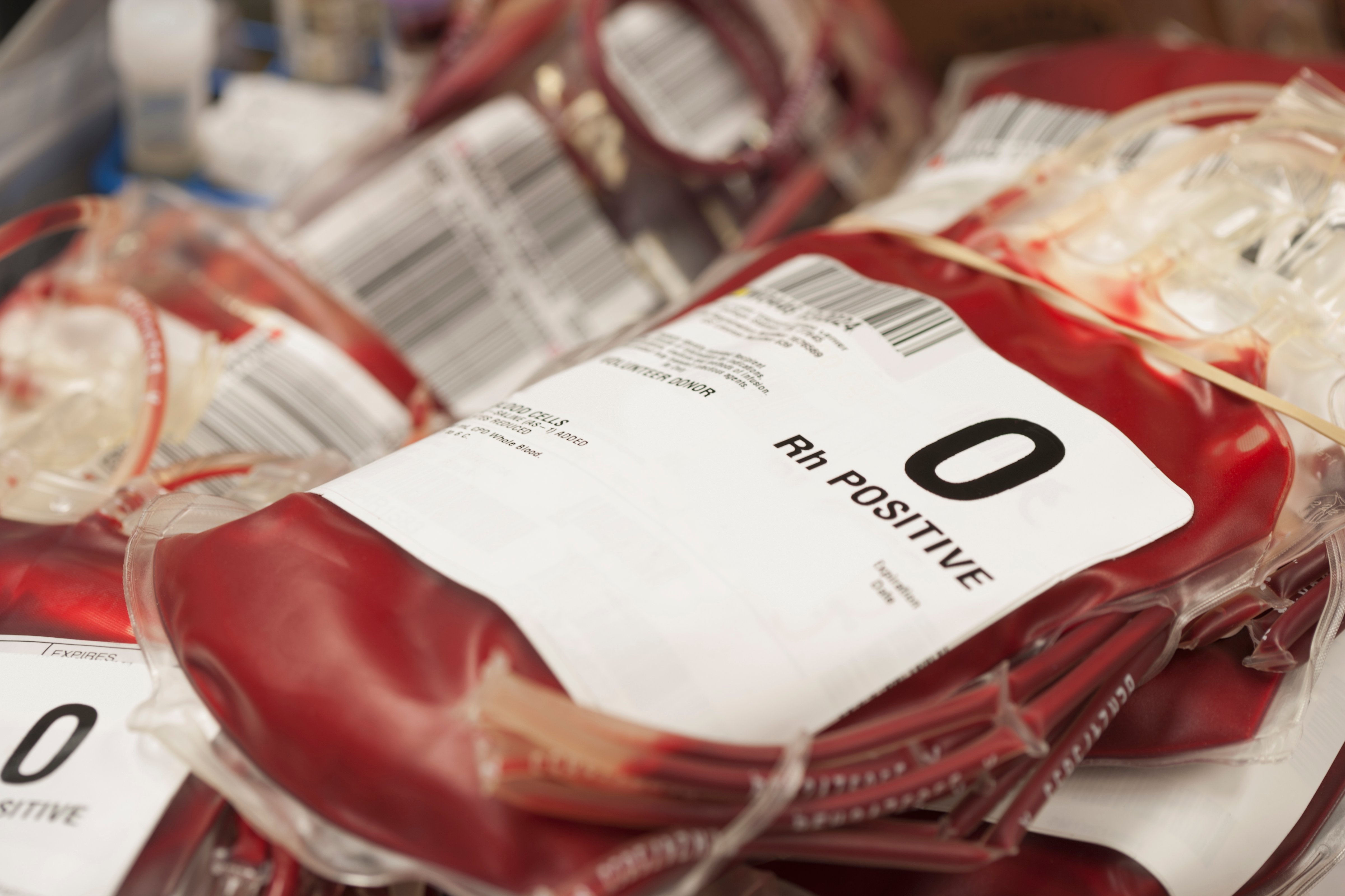 Pouches of donated blood in hospital