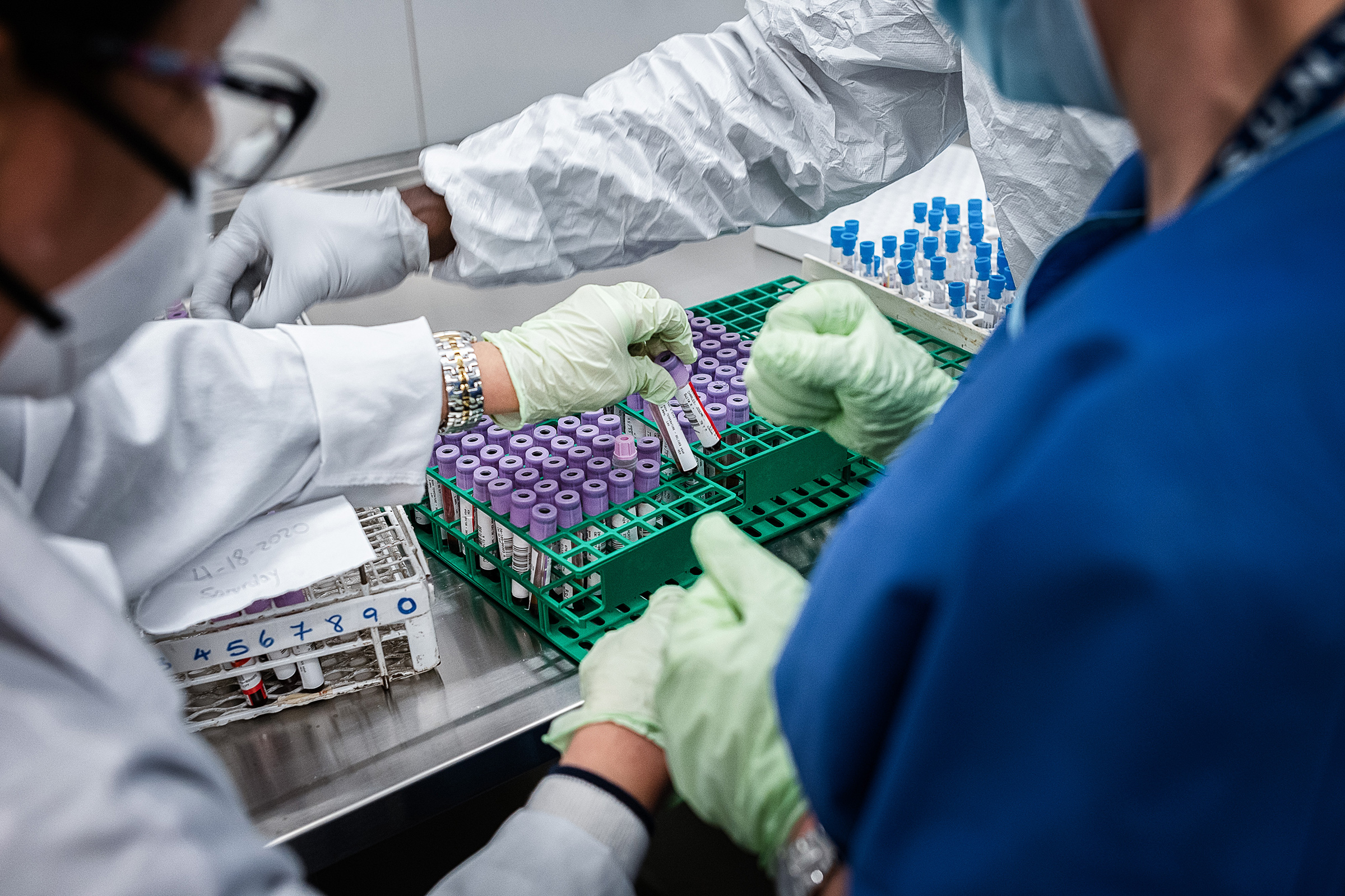 Researchers at SUNY Downstate Health Sciences University prepare samples from COVID-19 patients (Misha Friedman—Getty Images)