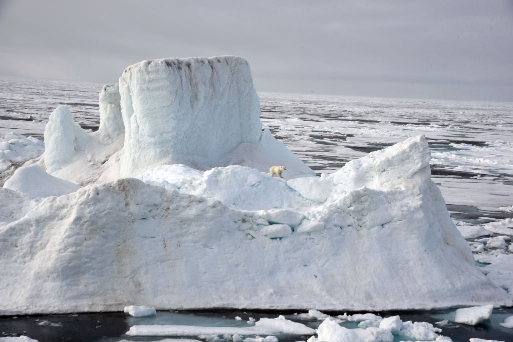 A polar bear stands on an iceberg in the Arctic Ocean. (Ulf Mauder—Getty)