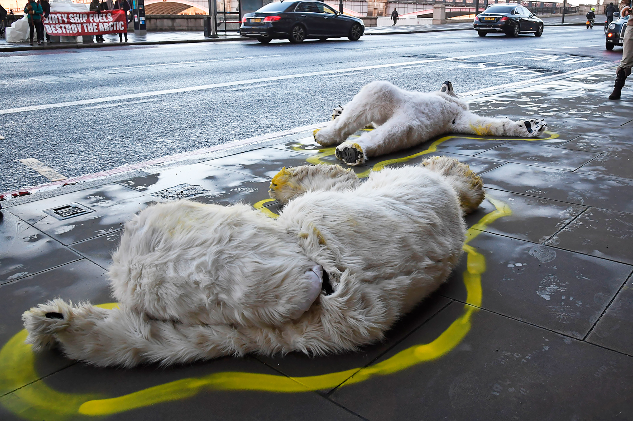 XR protesters dressed as dead polar bears in Westminster, London, on Feb. 17. (Jeremy Selwyn—Evening Standard/Redux)