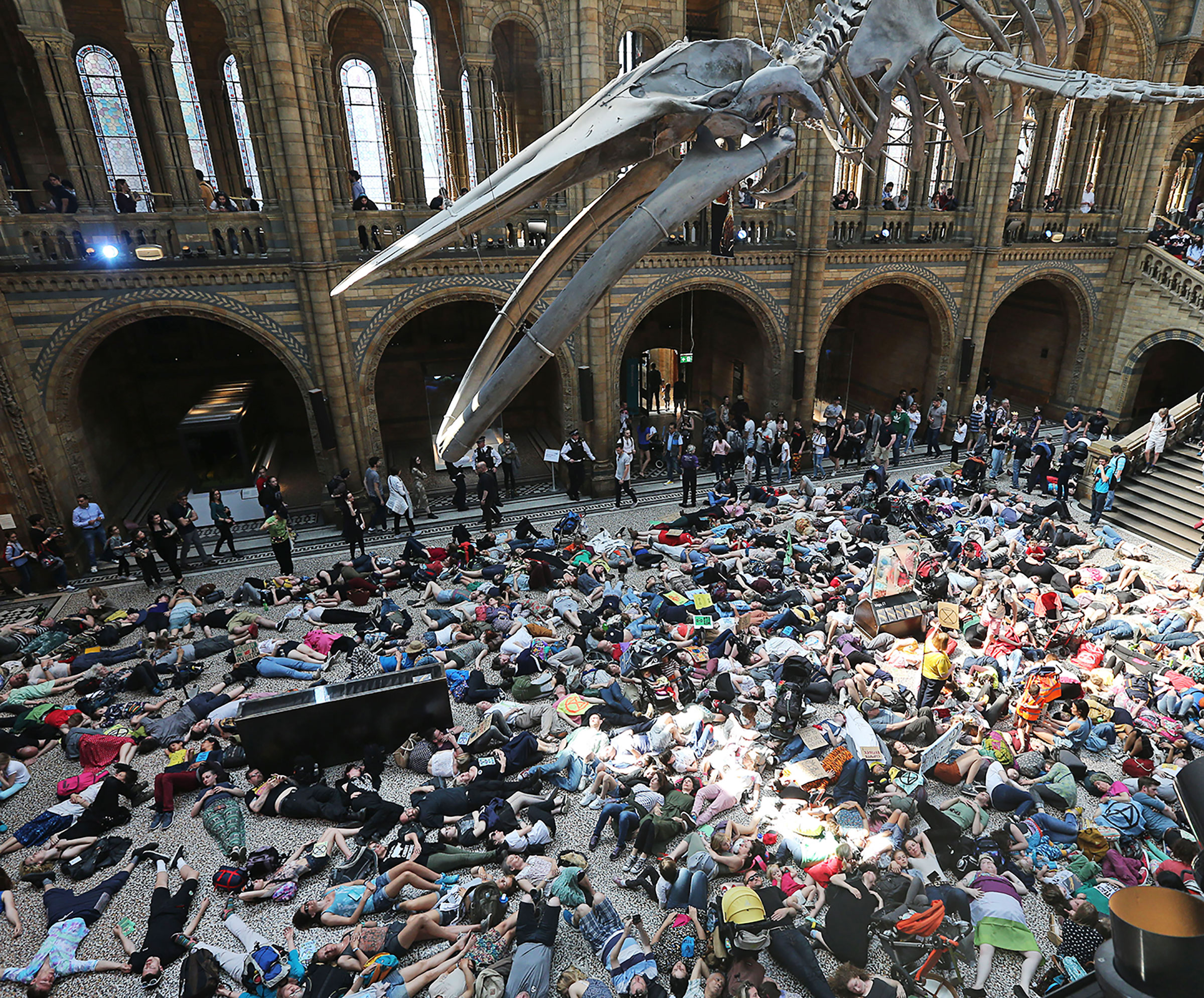 A die-in protest under the blue-whale skeleton at the Natural History Museum in London on April 22. (Steve Bell—Camera Press/Redux)