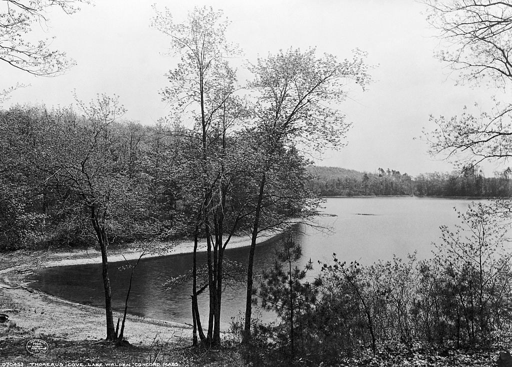 Walden Pond in Massachusetts, viewed from Henry David Thoreau's hut. (Bettmann Archive/Getty Images)
