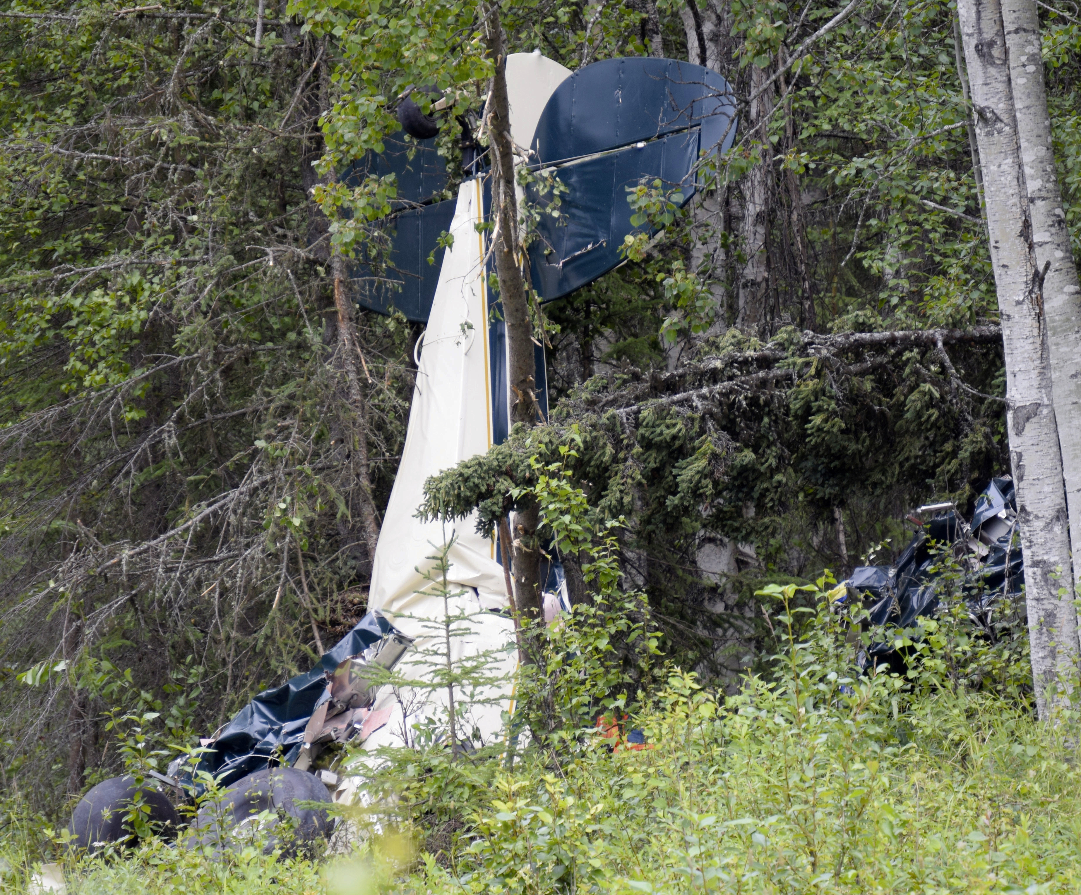 A plane rests in brush and trees after a midair collision outside of Soldotna, Alaska, on Friday, July 31, 2020. (Jeff Helminiak/Peninsula Clarion —AP)
