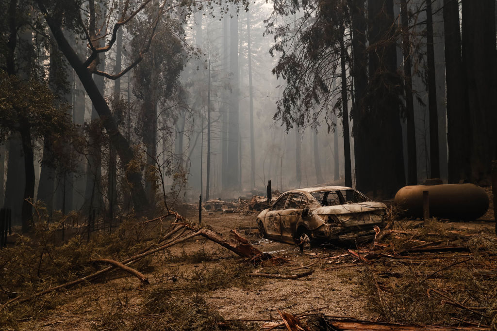 A structure and car near the Big Basin Redwoods State Park Headquarters &amp; Visitor Center is burned down in Boulder Creek, Calif., on Thursday, Aug. 20, 2020. (Randy Vazquez/MediaNews Group/The Mercury News—Getty Images)