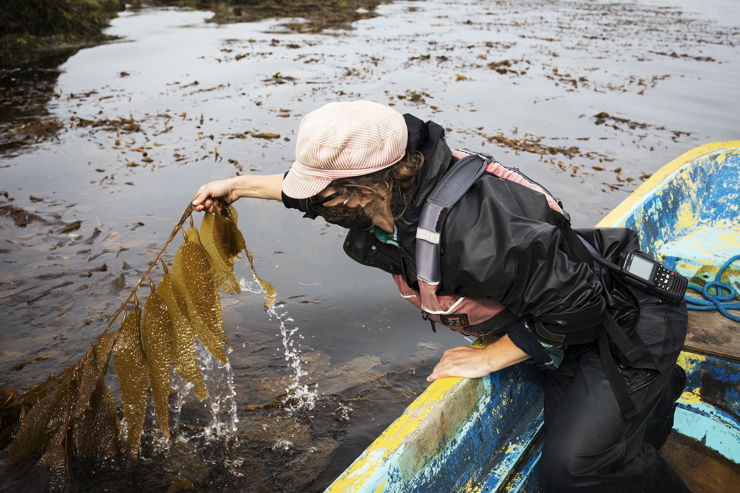 Amy McConnell, a Canadian Kelp Resources Ltd. lab technician, holds up a piece of giant kelp in the Trevor Channel on Vancouver Island, on Aug. 19, 2020. (Melissa Renwick for TIME)