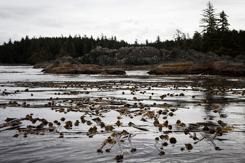 seaweed-farming-climate-07