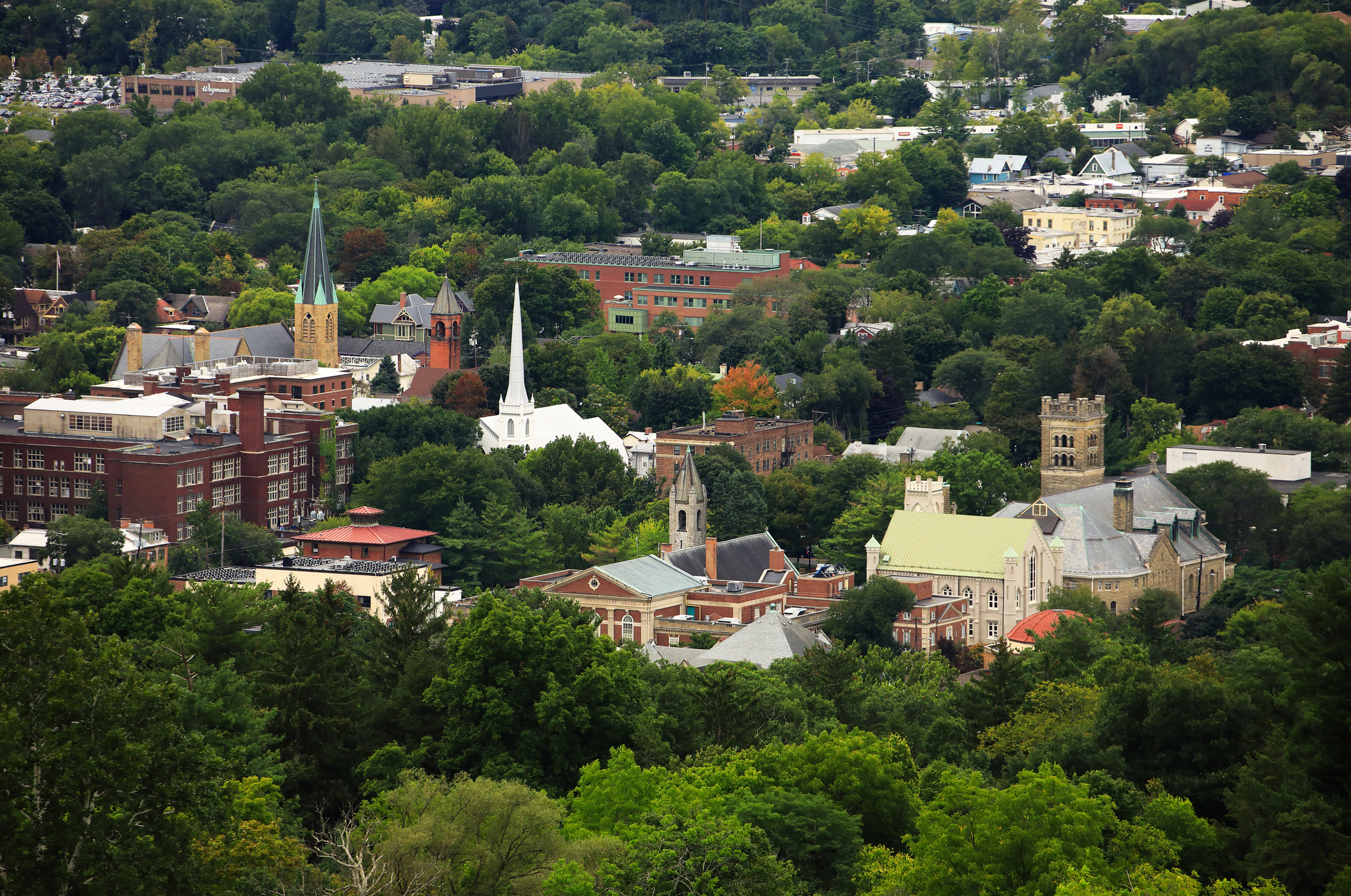 The aerial view of town of Ithaca in New York State (Getty Images—
                      Bruce Yuanyue Bi)