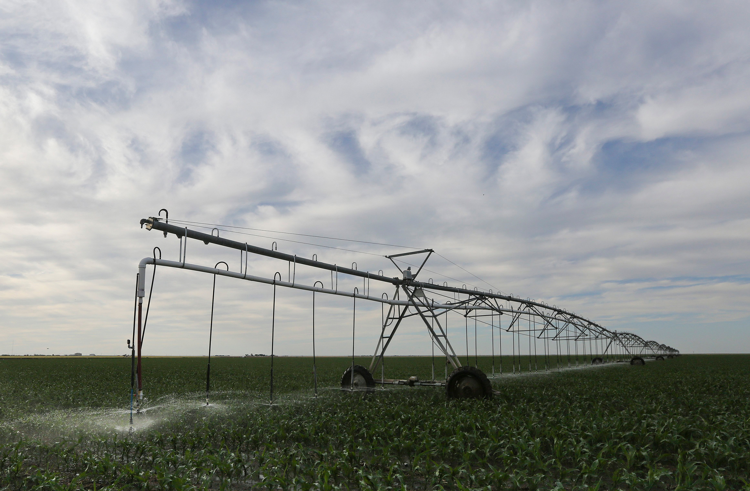An irrigation pivot sprays water onto a young corn crop in Grant County, Kans., in 2015.