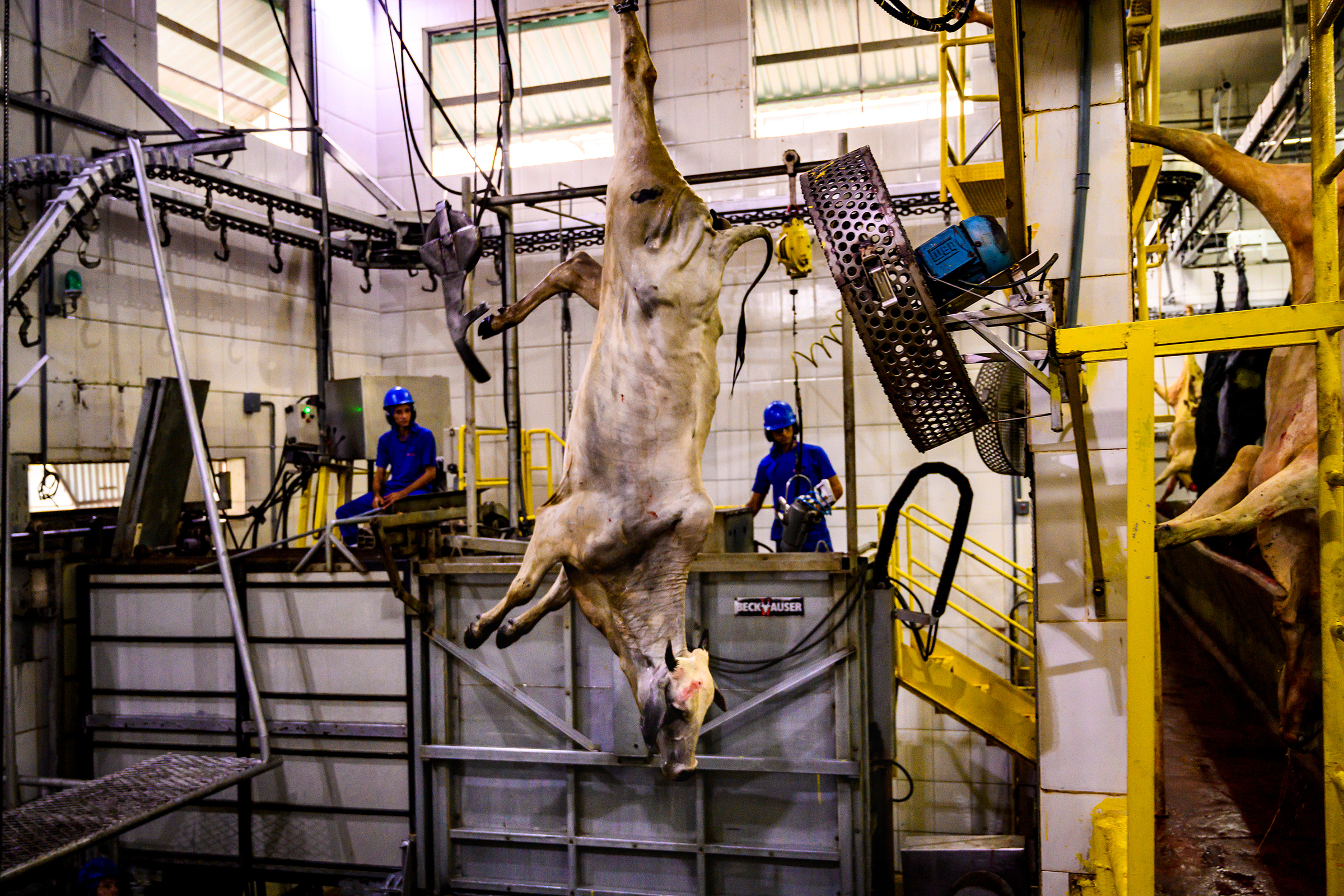 A slaughterhouse in the Brazilian state of Rondônia in February 2019. The company boasted an expansion would allow a cow to be killed every eight seconds at the facility.