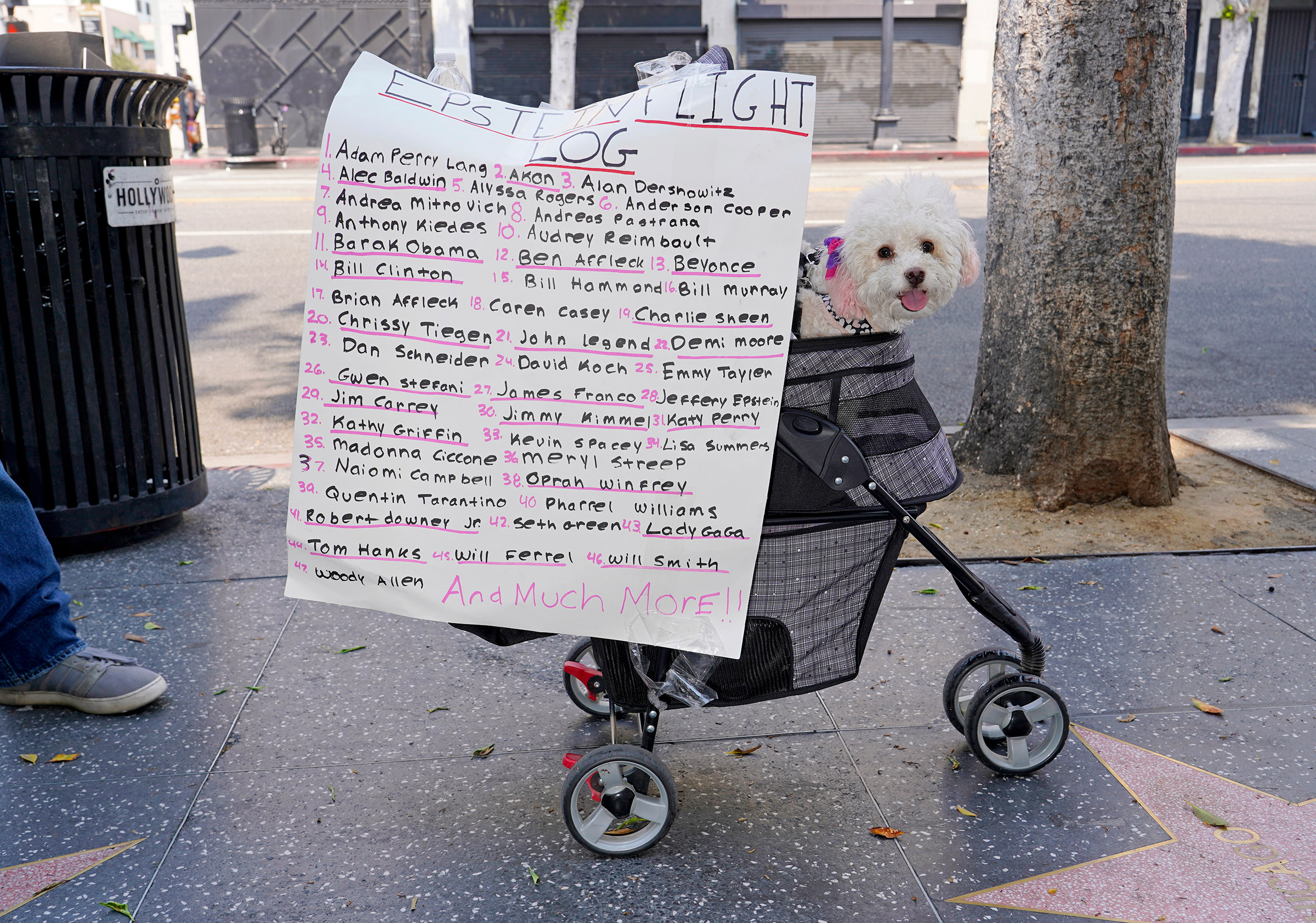 A sign at a Save Our Children rally in Los Angeles, Aug. 22, 2020. (Jamie Lee Curtis Taete)