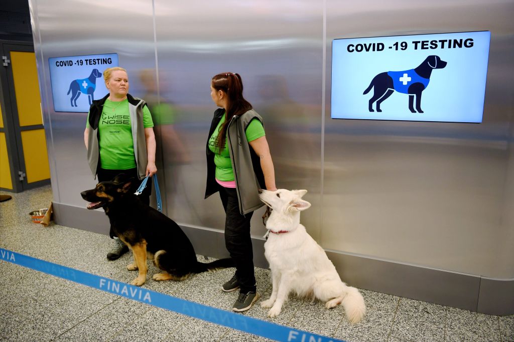 The coronavirus sniffer dogs Valo (L) and E.T. sit near their trainers at the Helsinki airport in Vantaa, Finland, to detect the COVID-19 from the arriving passengers, on September 22, 2020. (Antti Aimo-Koivisto—Lehtikuva/AFP/Getty Images)
