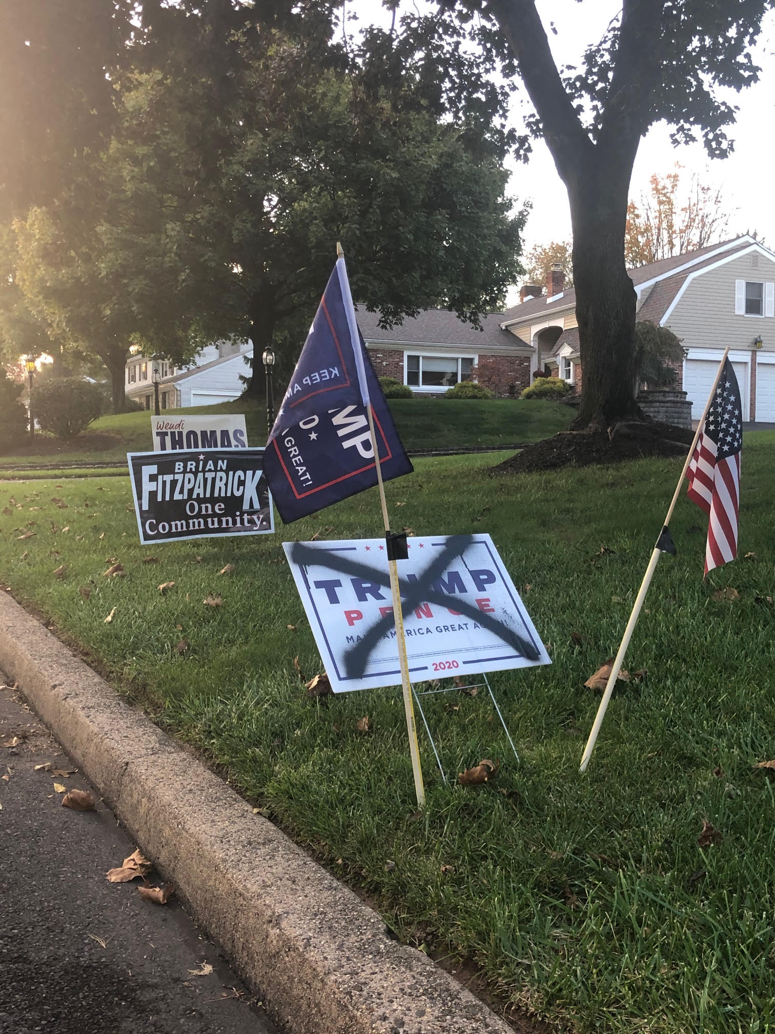 In Kathryn Jankowski's home of Bucks County, PA, front lawns are littered with competing political signs.