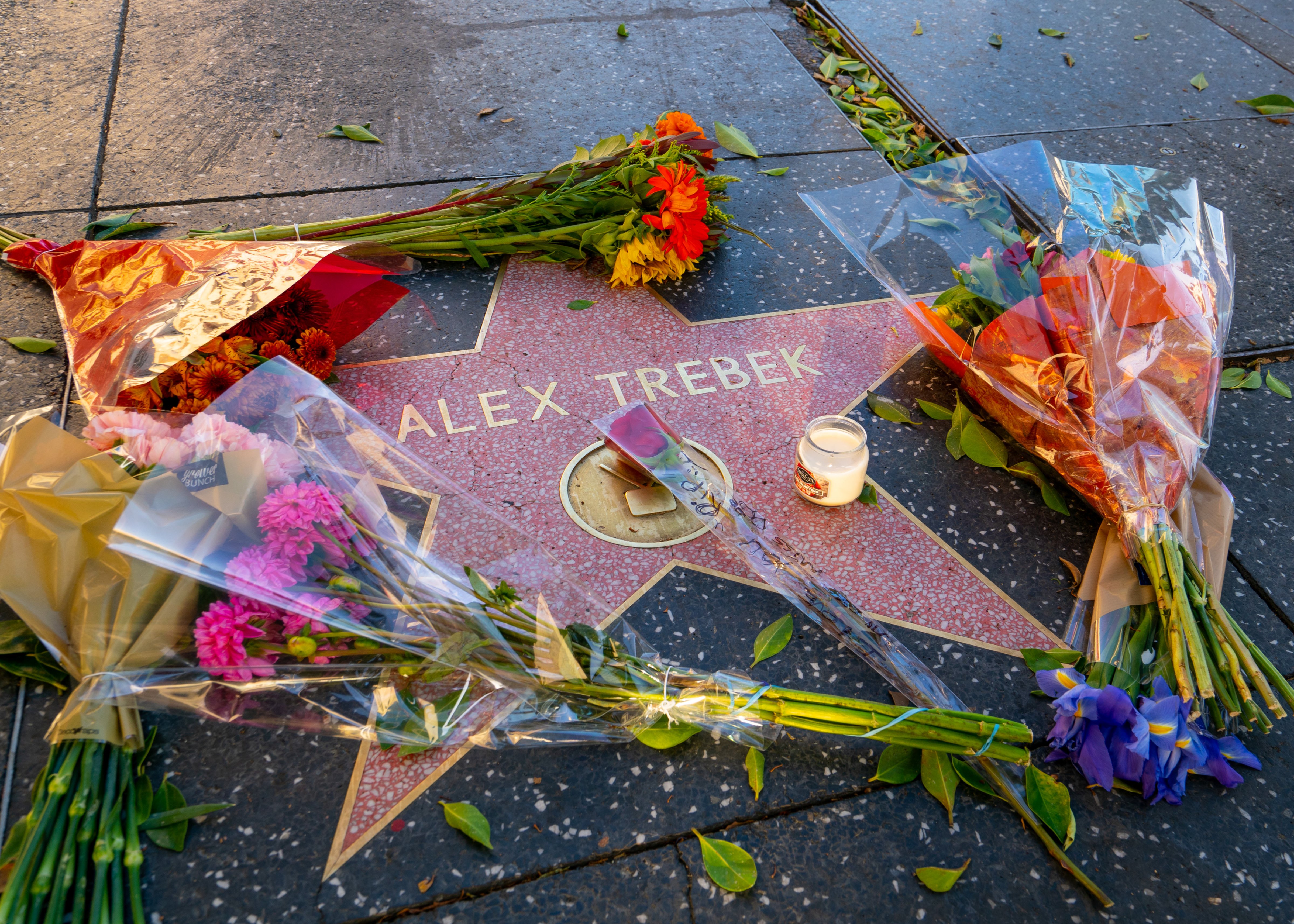 Hollywood honors Alex Trebek on the Walk of Fame after the announcement of his death on Nov. 8, 2020. (GC Images—2020 Bauer-Griffin)