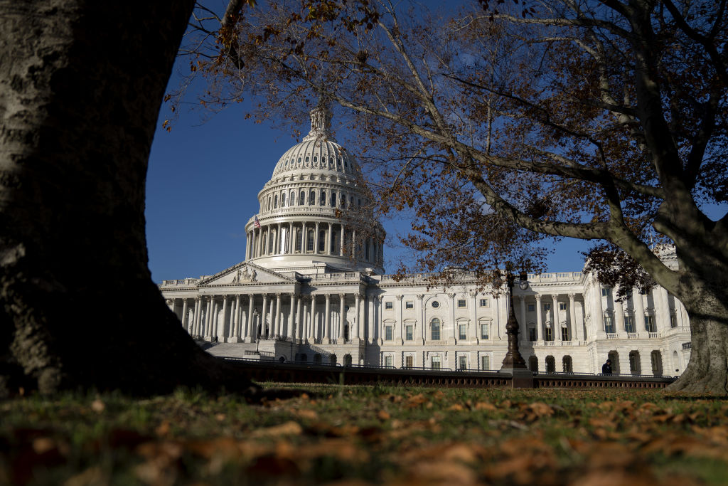 The U.S. Capitol building in Washington, D.C., on Nov. 10, 2020 (Stefani Reynolds —Bloomberg/Getty Images)