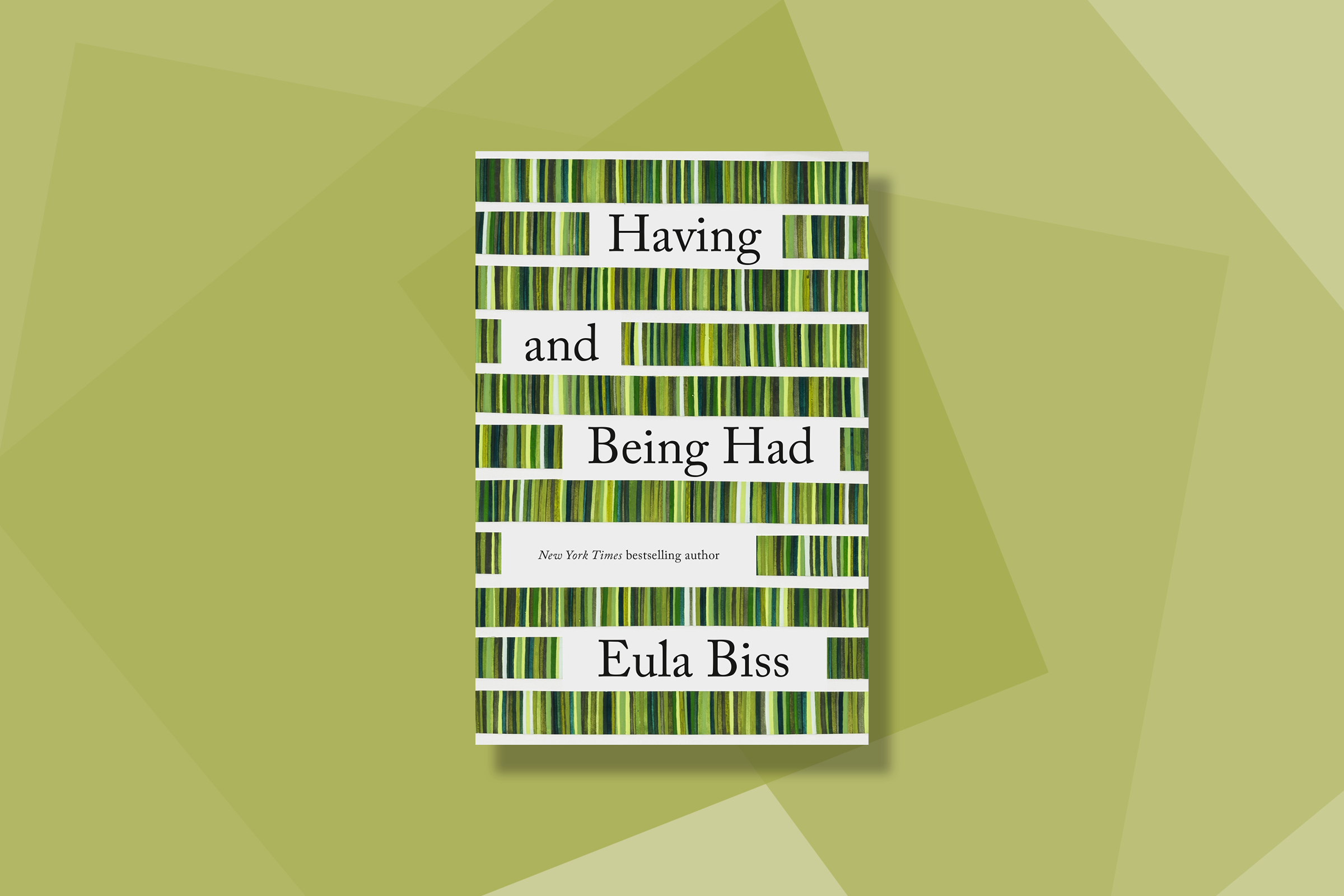 best-books-2020-Having and Being Had