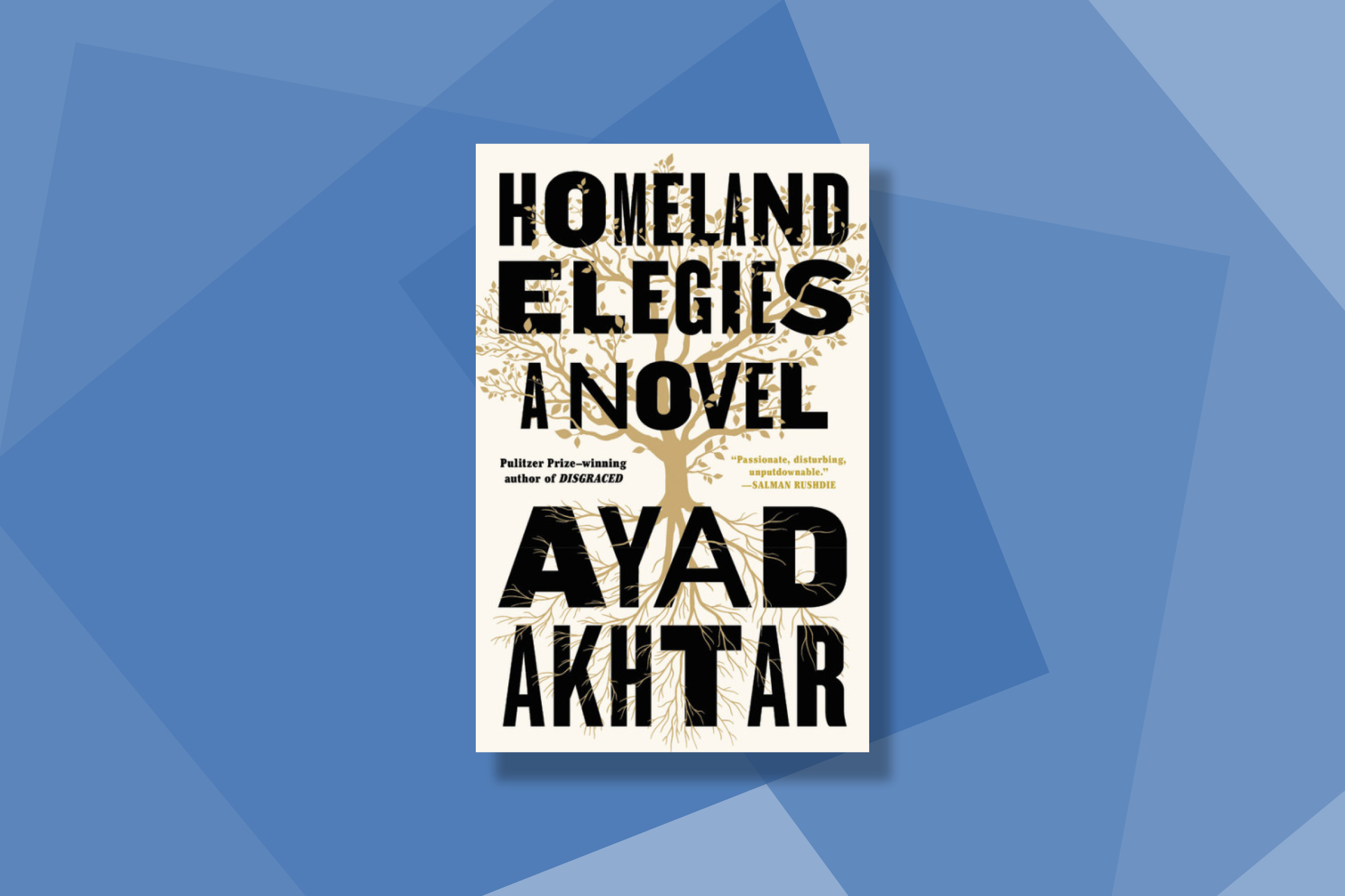 best books 2020 Homeland Elegies