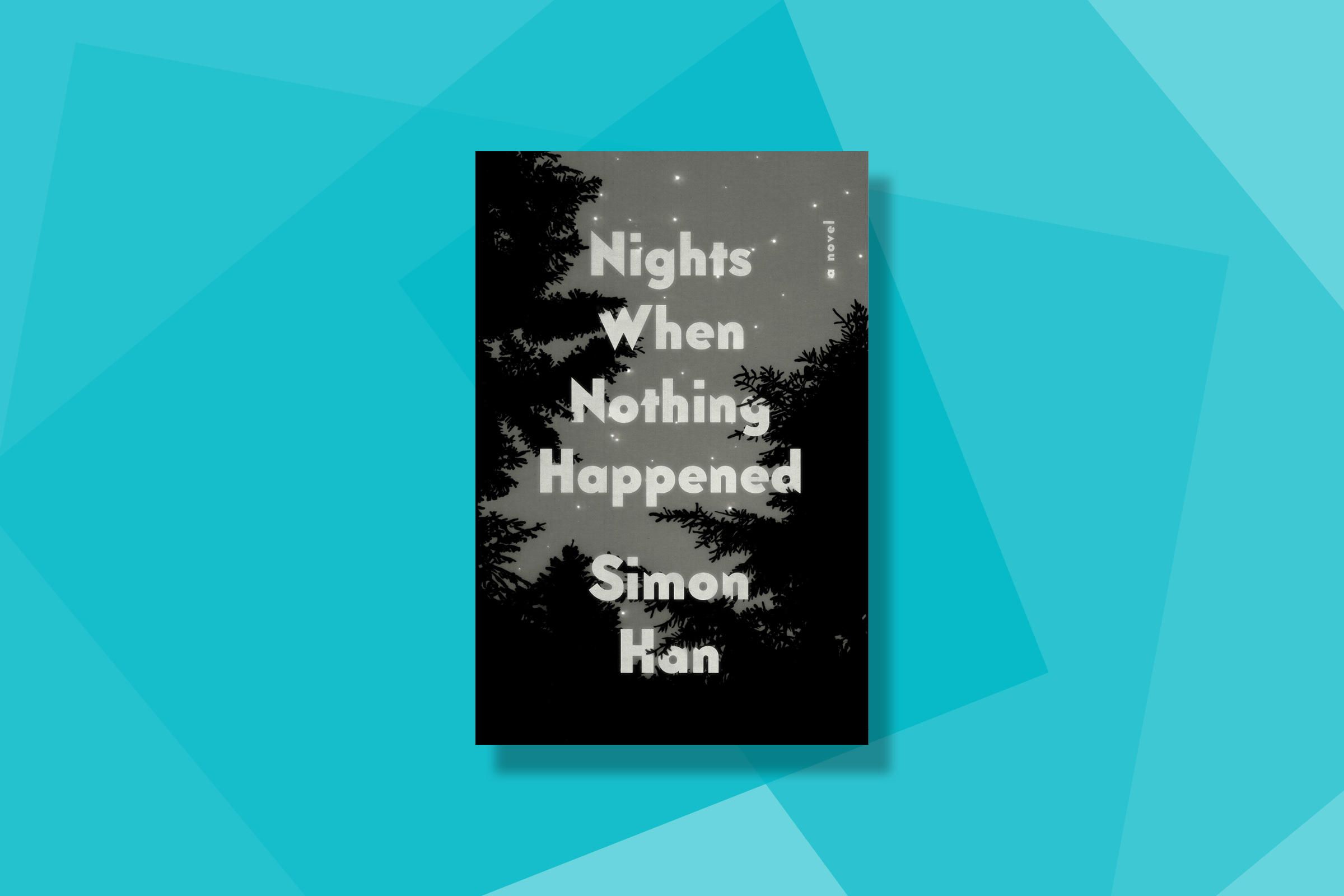 best-books-2020-Nights When Nothing Happened